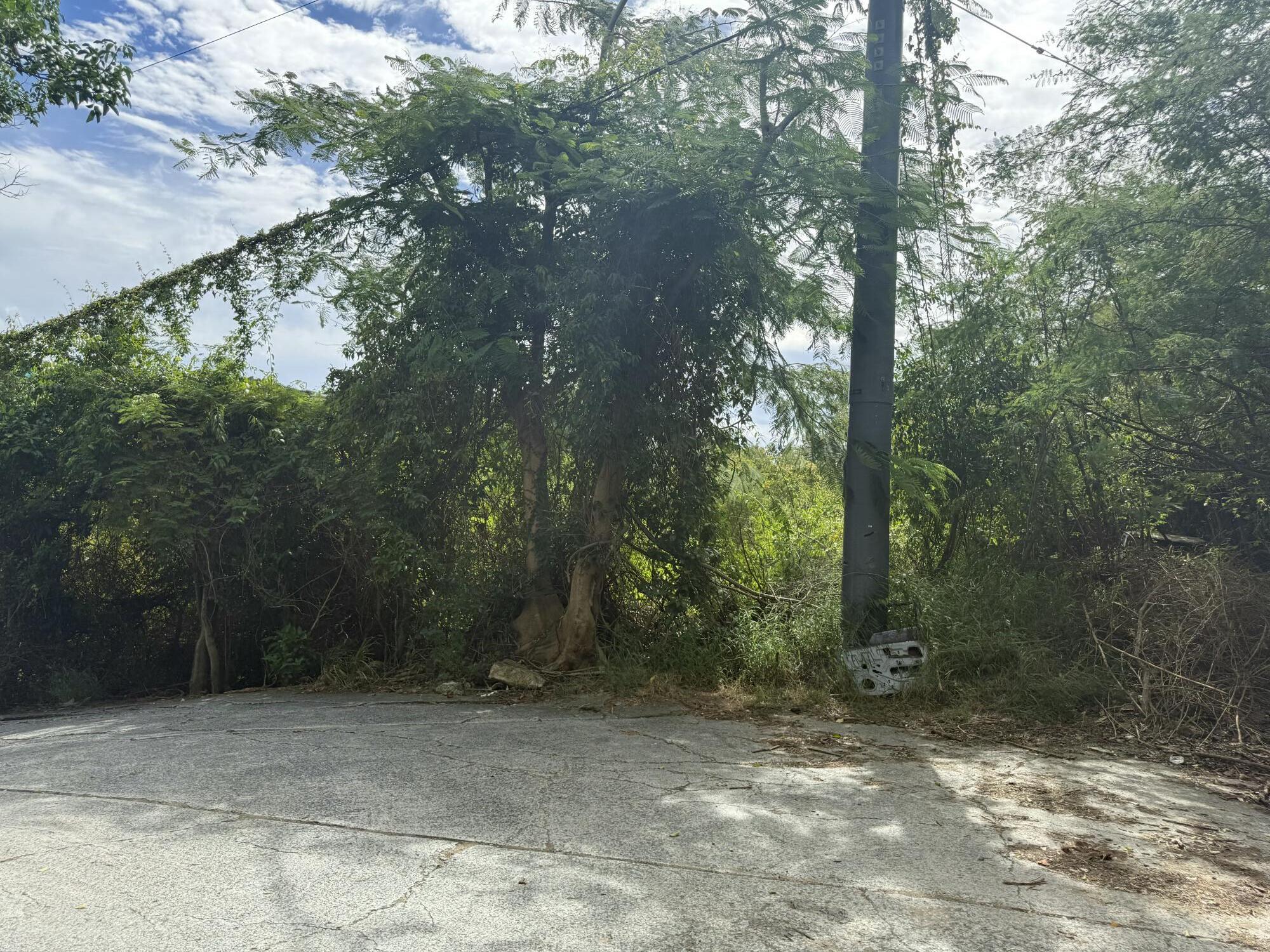 1-2-6 Grunwald, St John