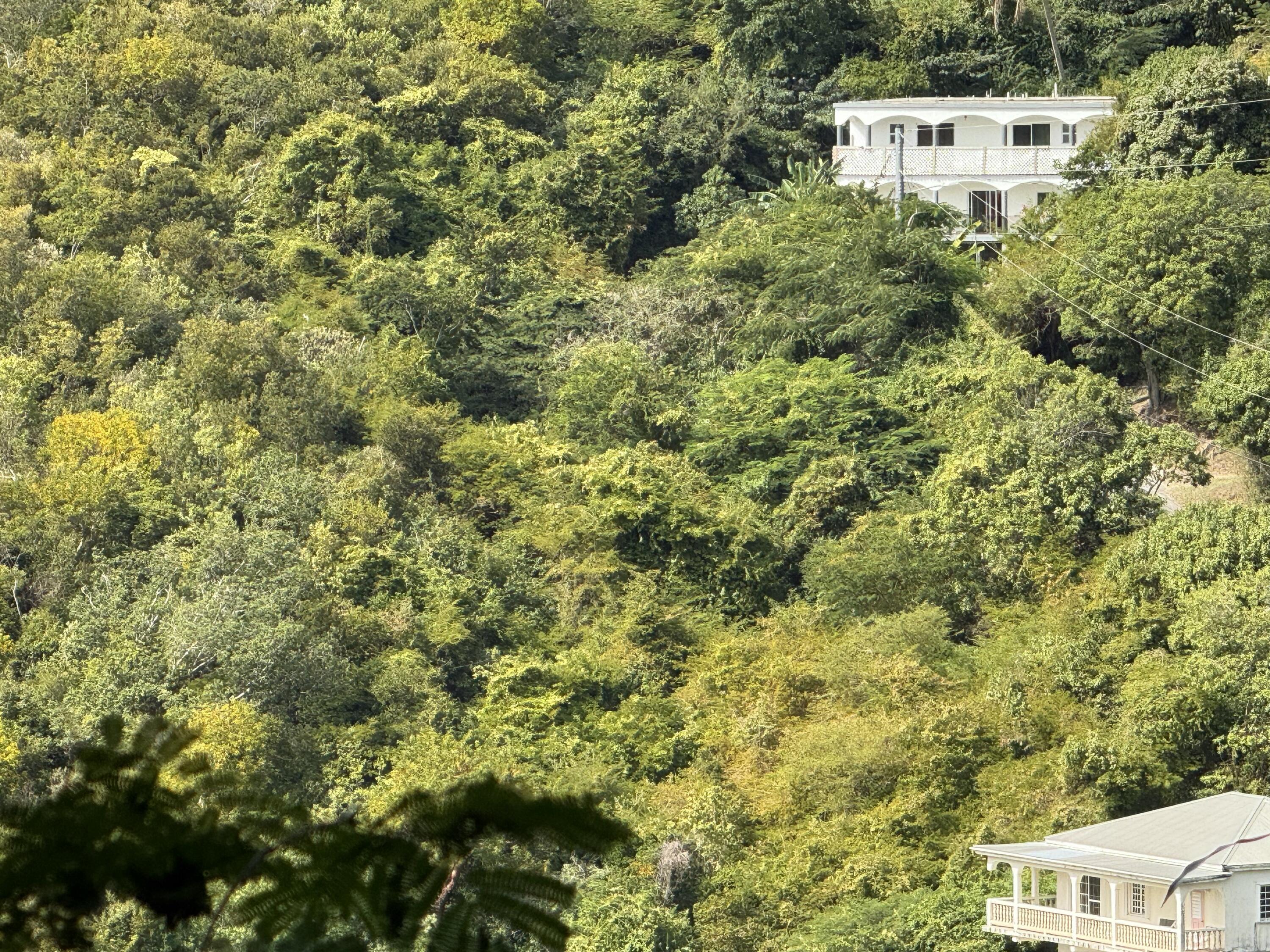 1-2-6 Grunwald, St John