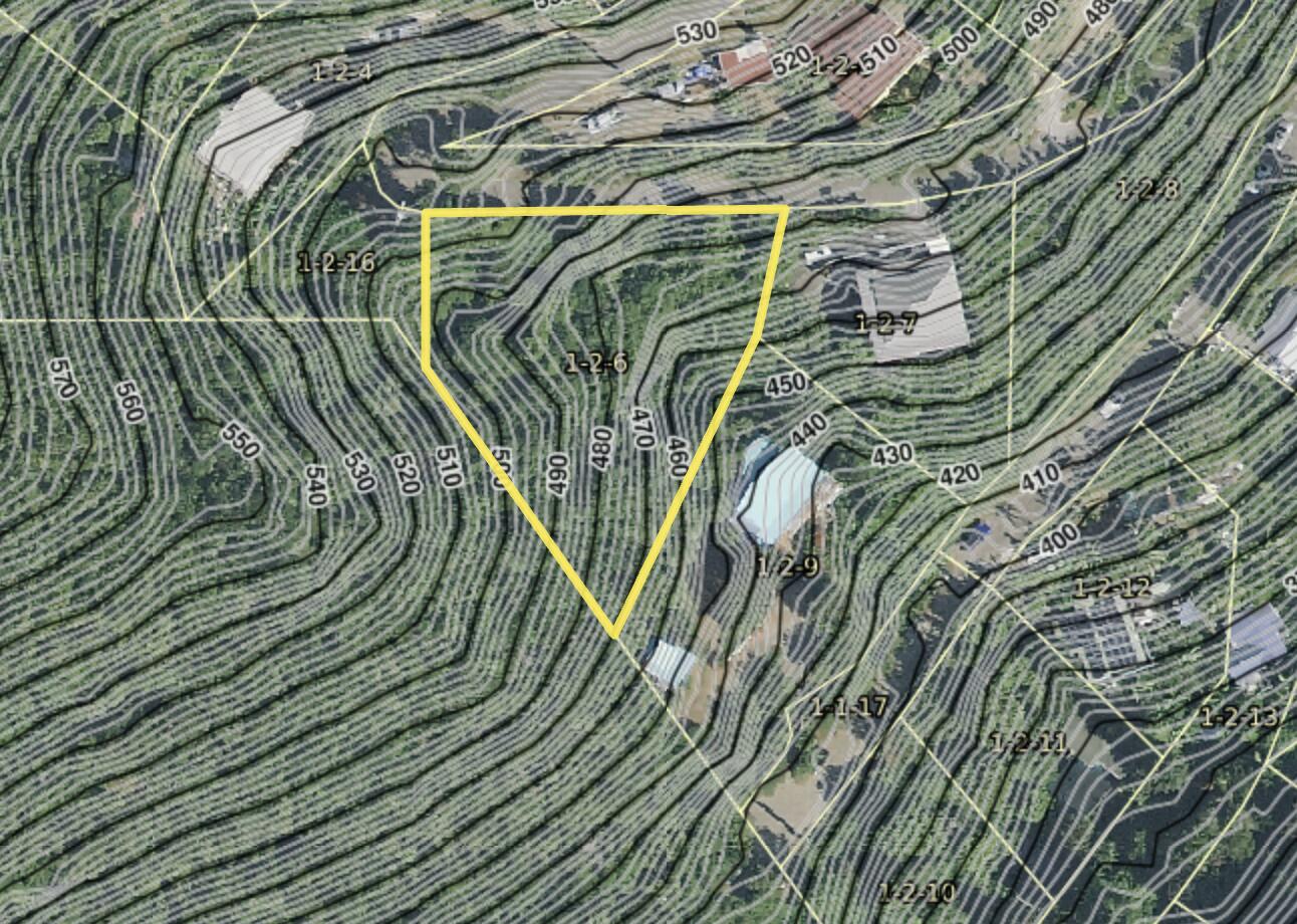 1-2-6 Grunwald, St John