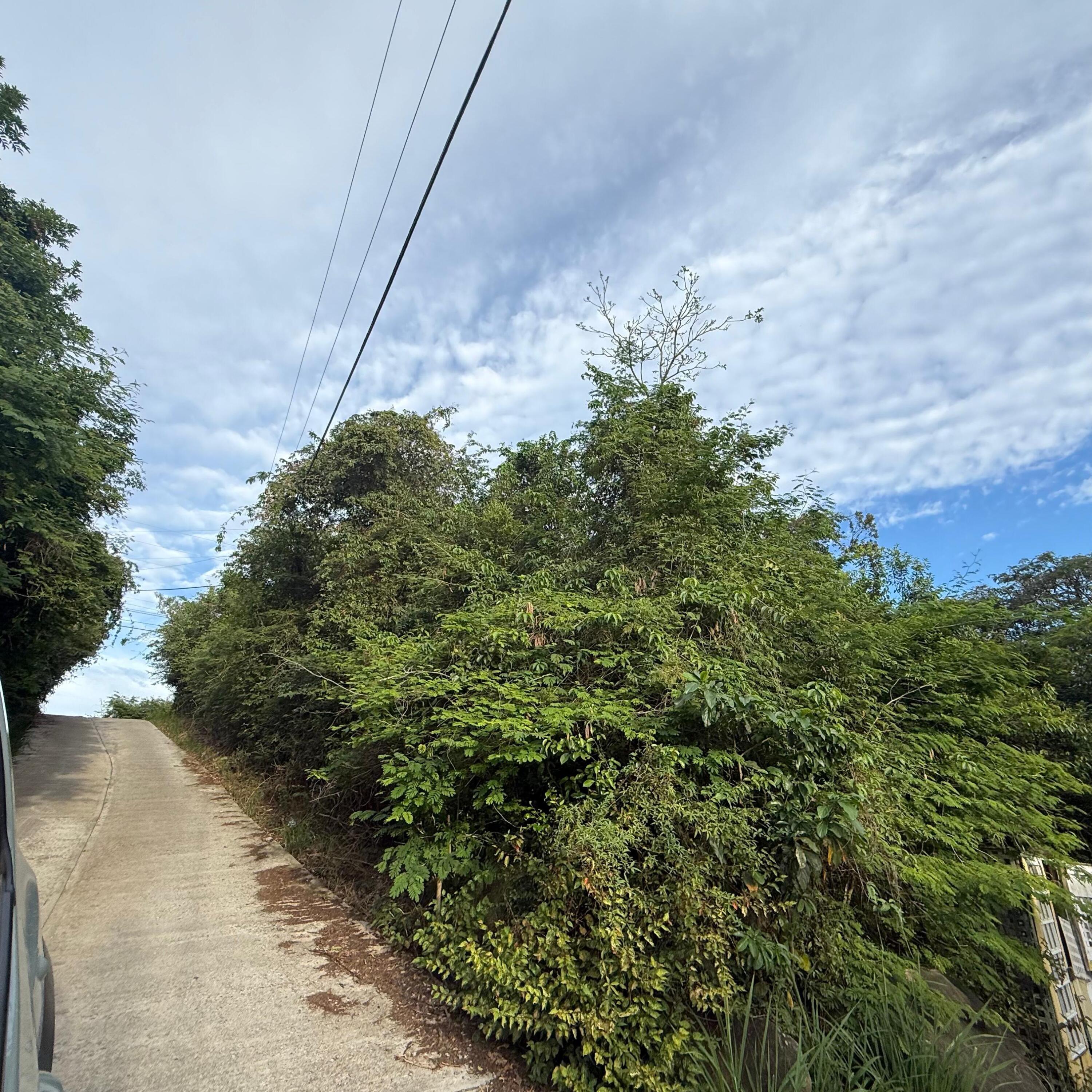 2B-2 Beverhoudtsberg, St John