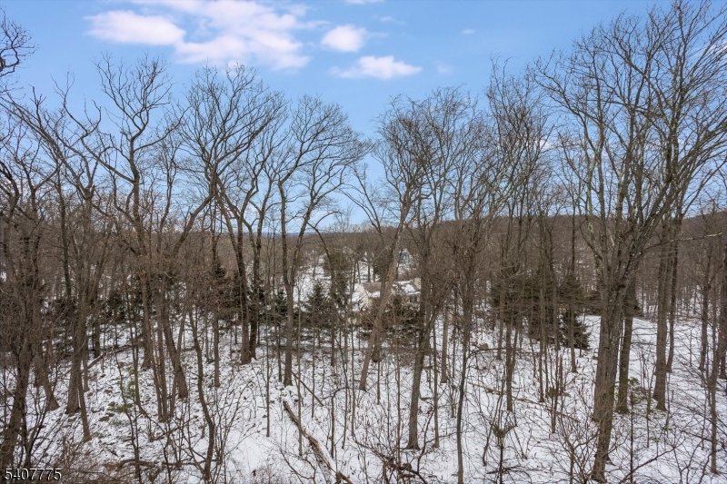 133 Ridgeview Ln 133