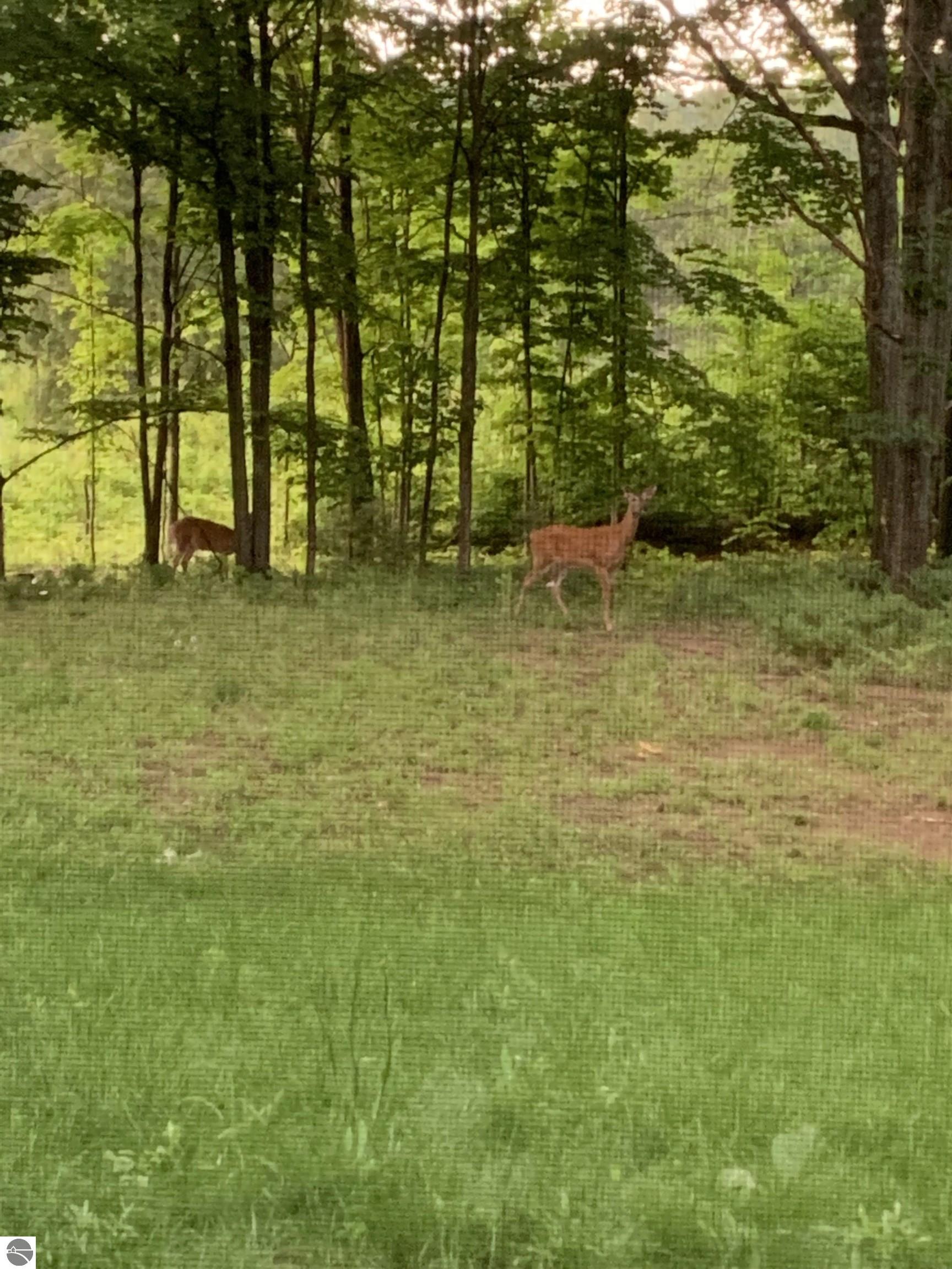 8900 Manhattan North Unit A