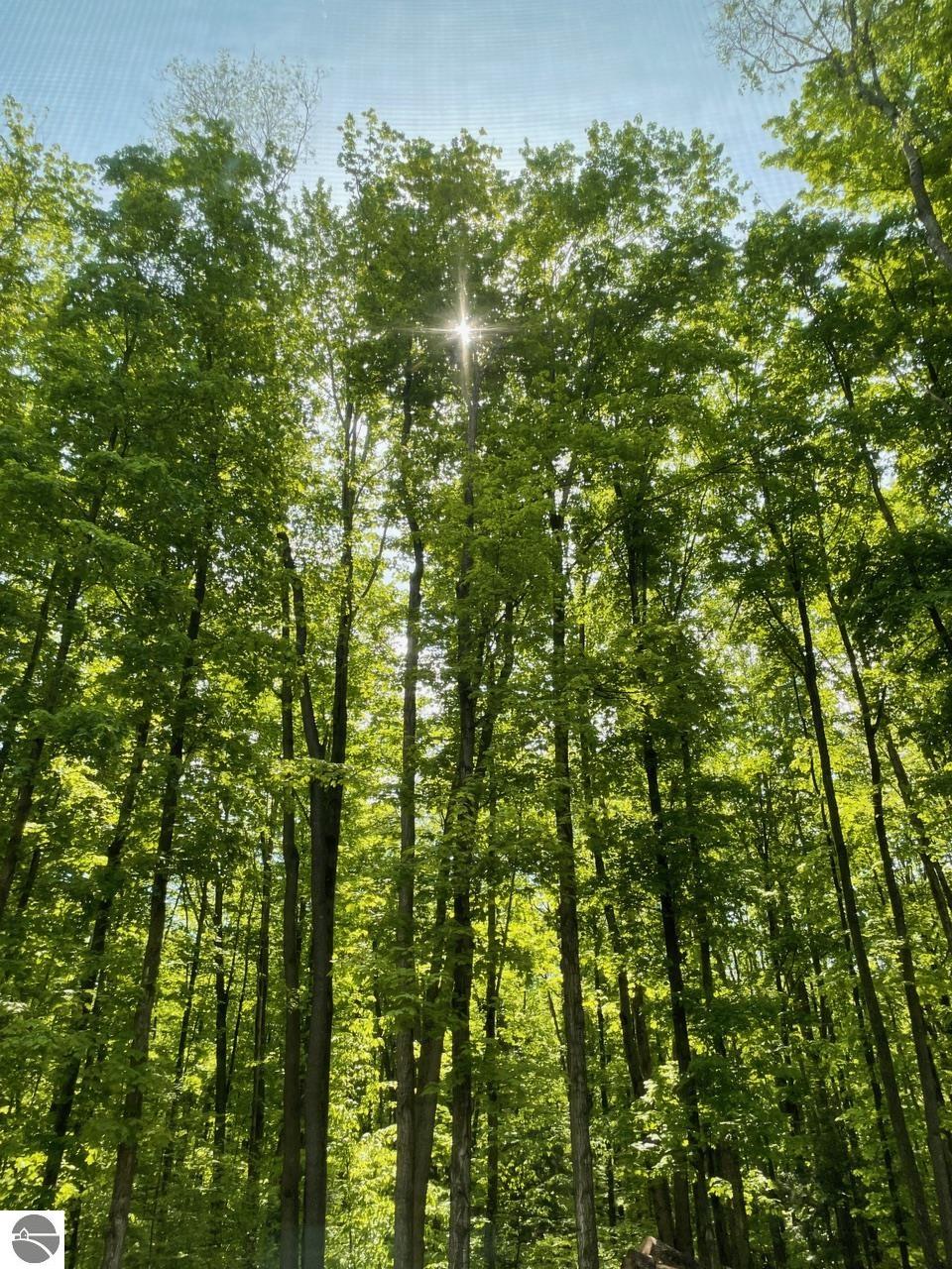 20651 E Trails End Road