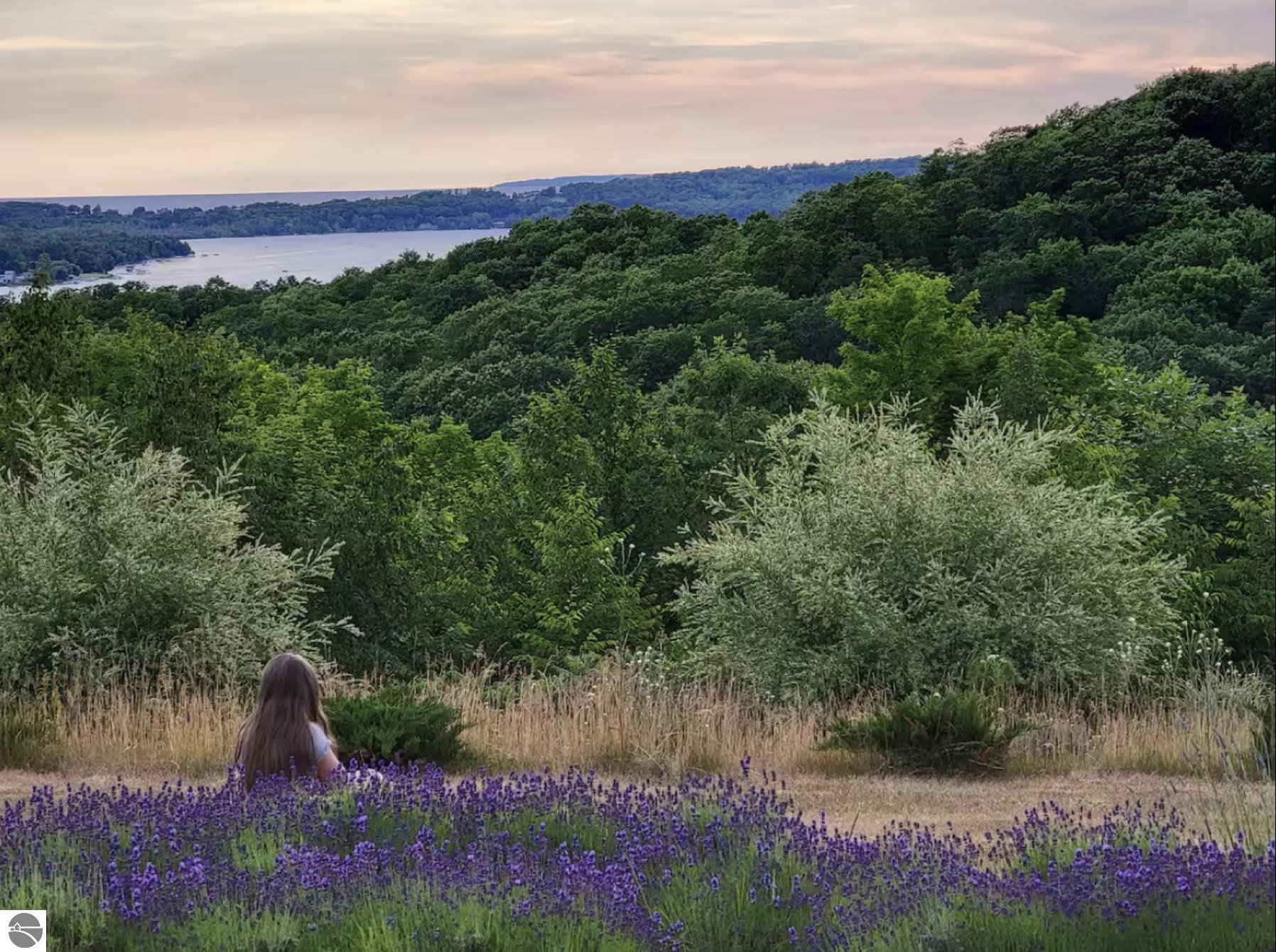 1461 N Eagle Highway