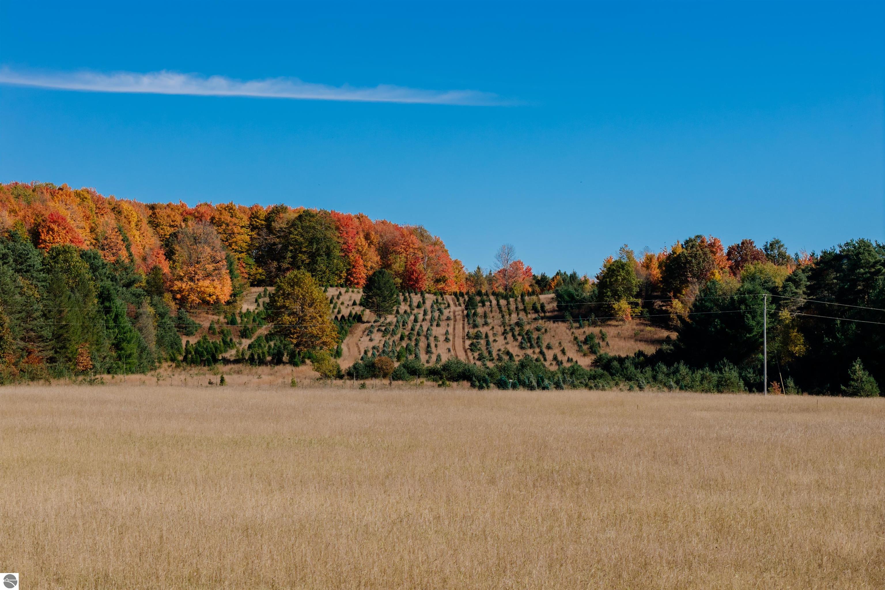 00 SW Sperry Road, Fife Lake