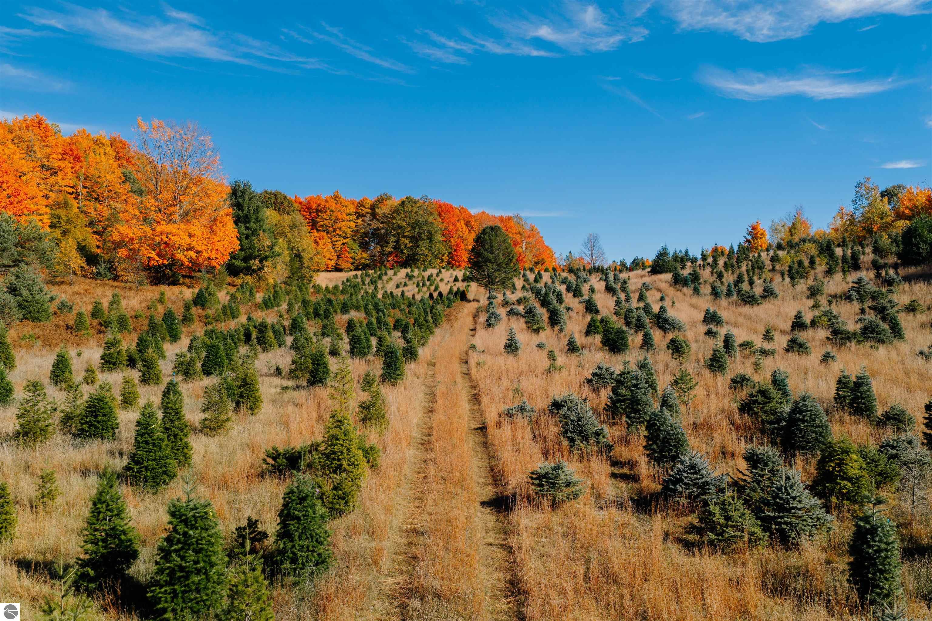 00 SW Sperry Road, Fife Lake