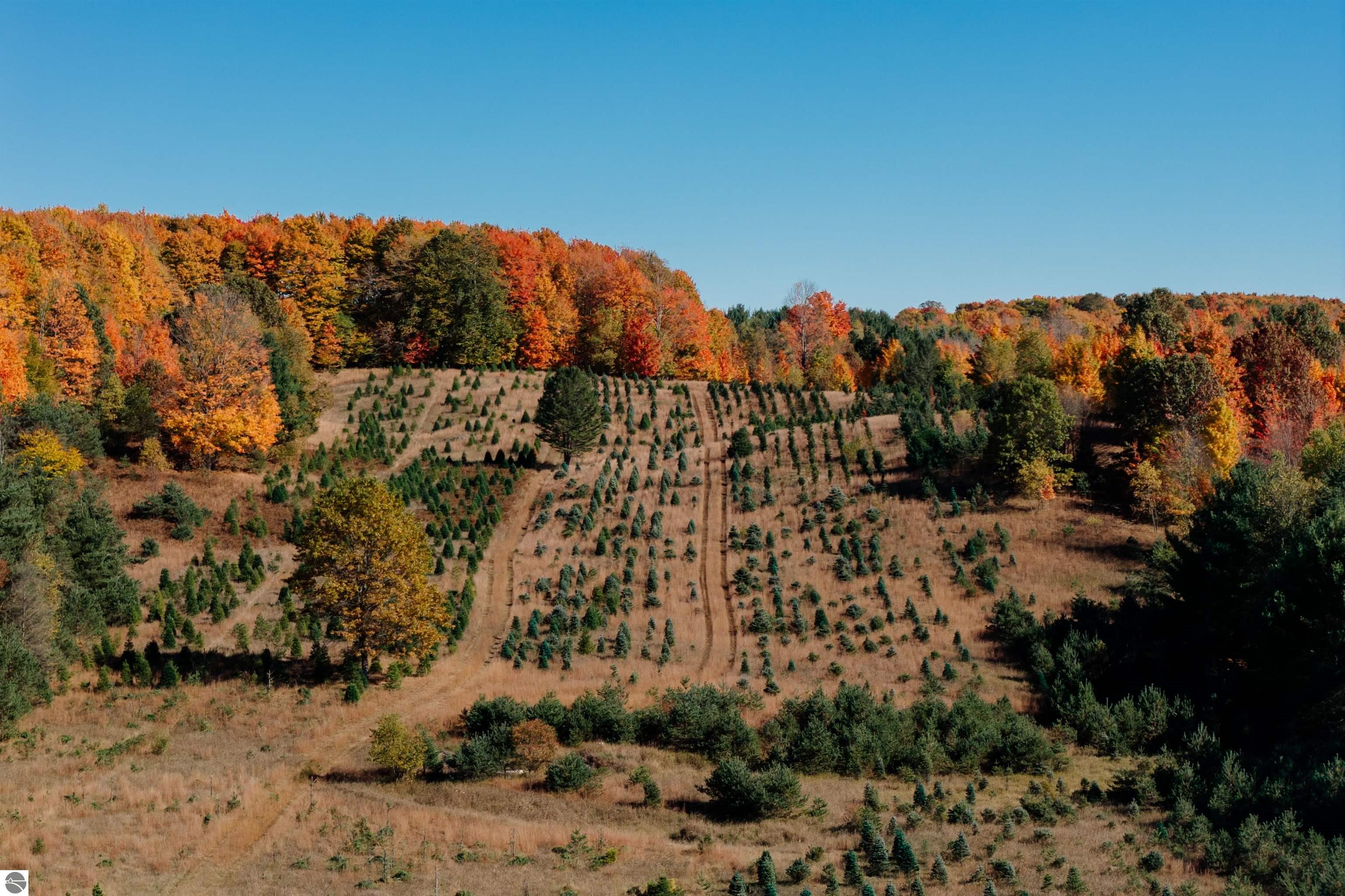 00 SW Sperry Road, Fife Lake