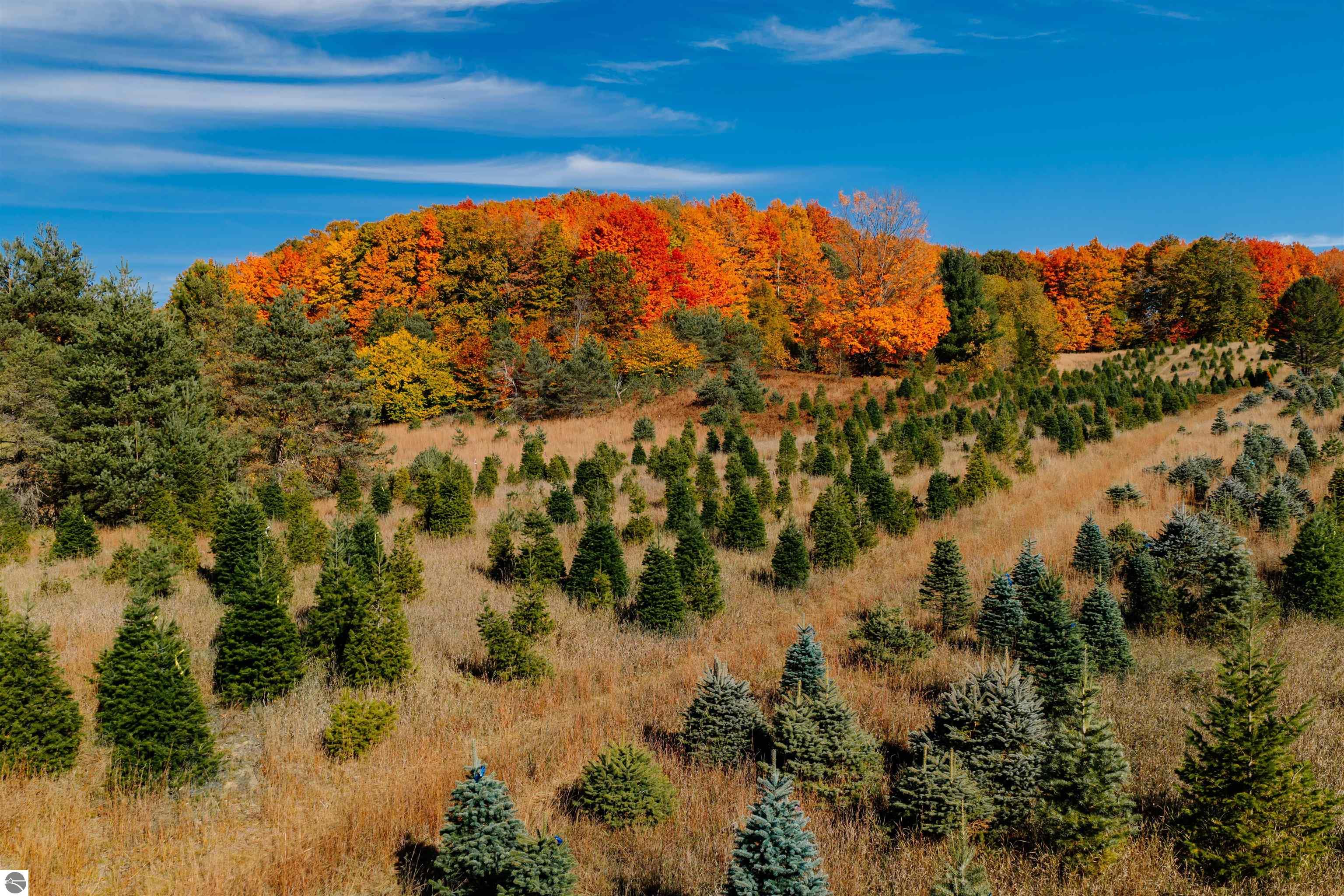 00 SW Sperry Road, Fife Lake