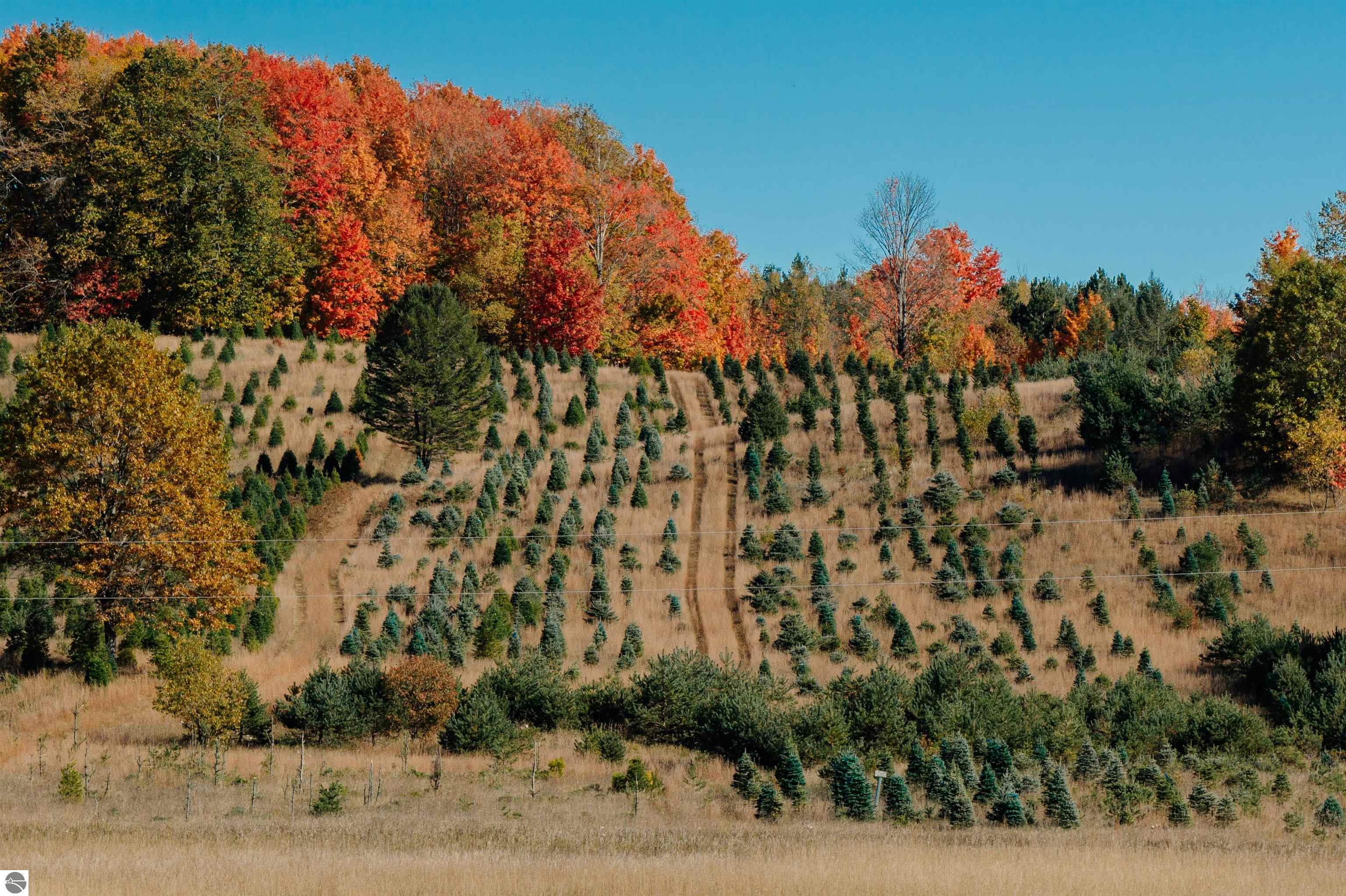 00 SW Sperry Road, Fife Lake