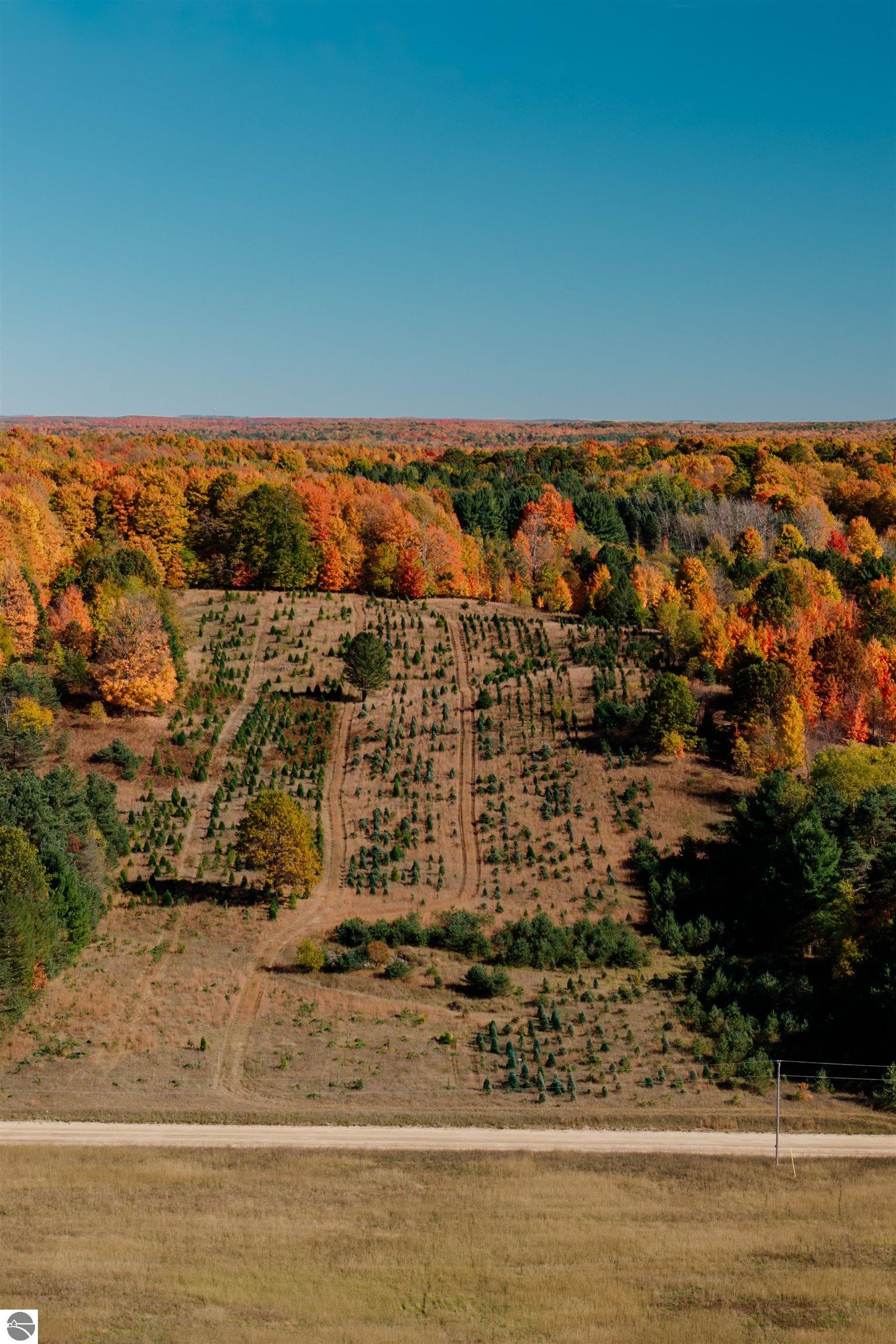 00 SW Sperry Road, Fife Lake