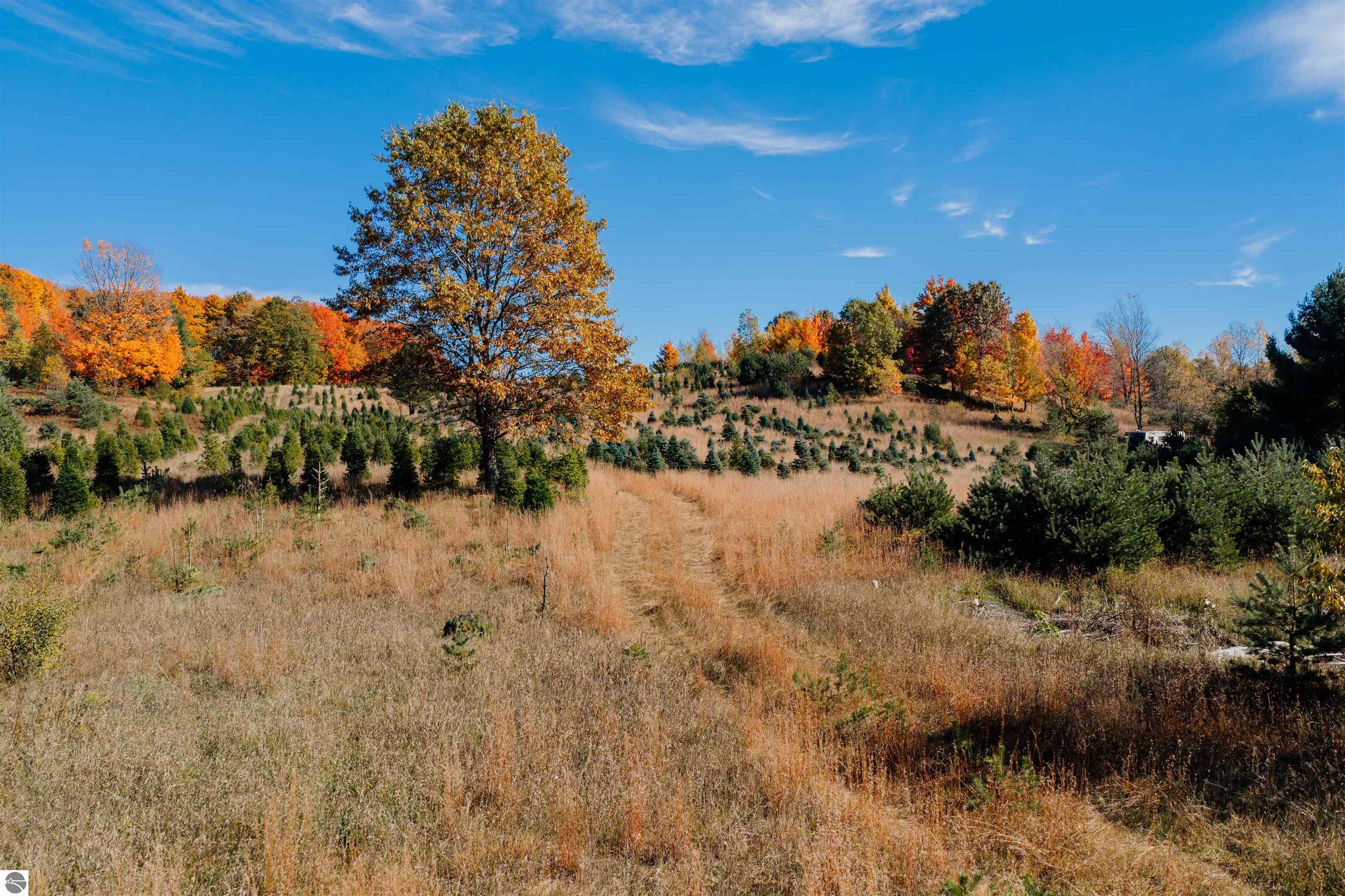00 SW Sperry Road, Fife Lake