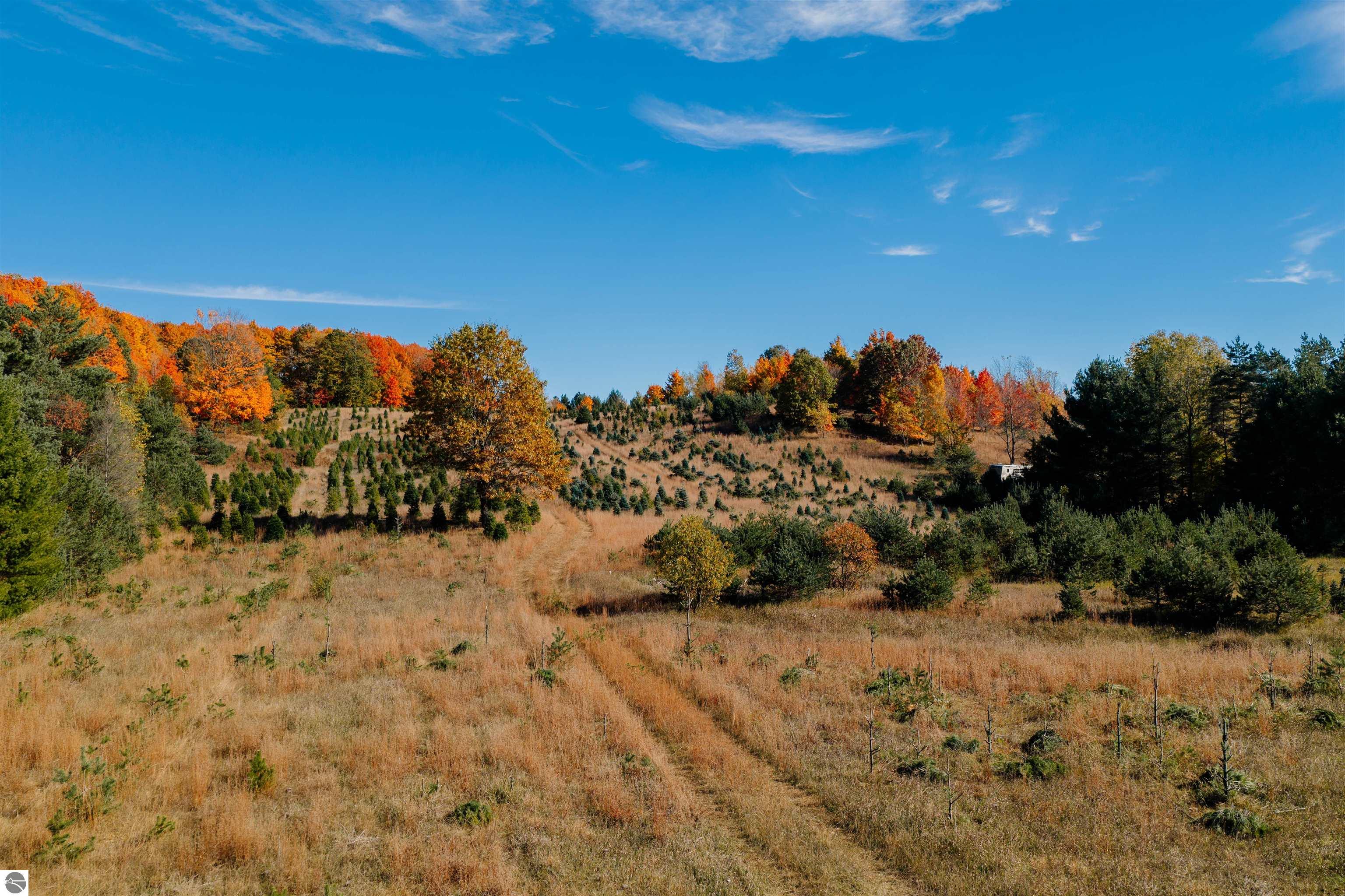 00 SW Sperry Road, Fife Lake