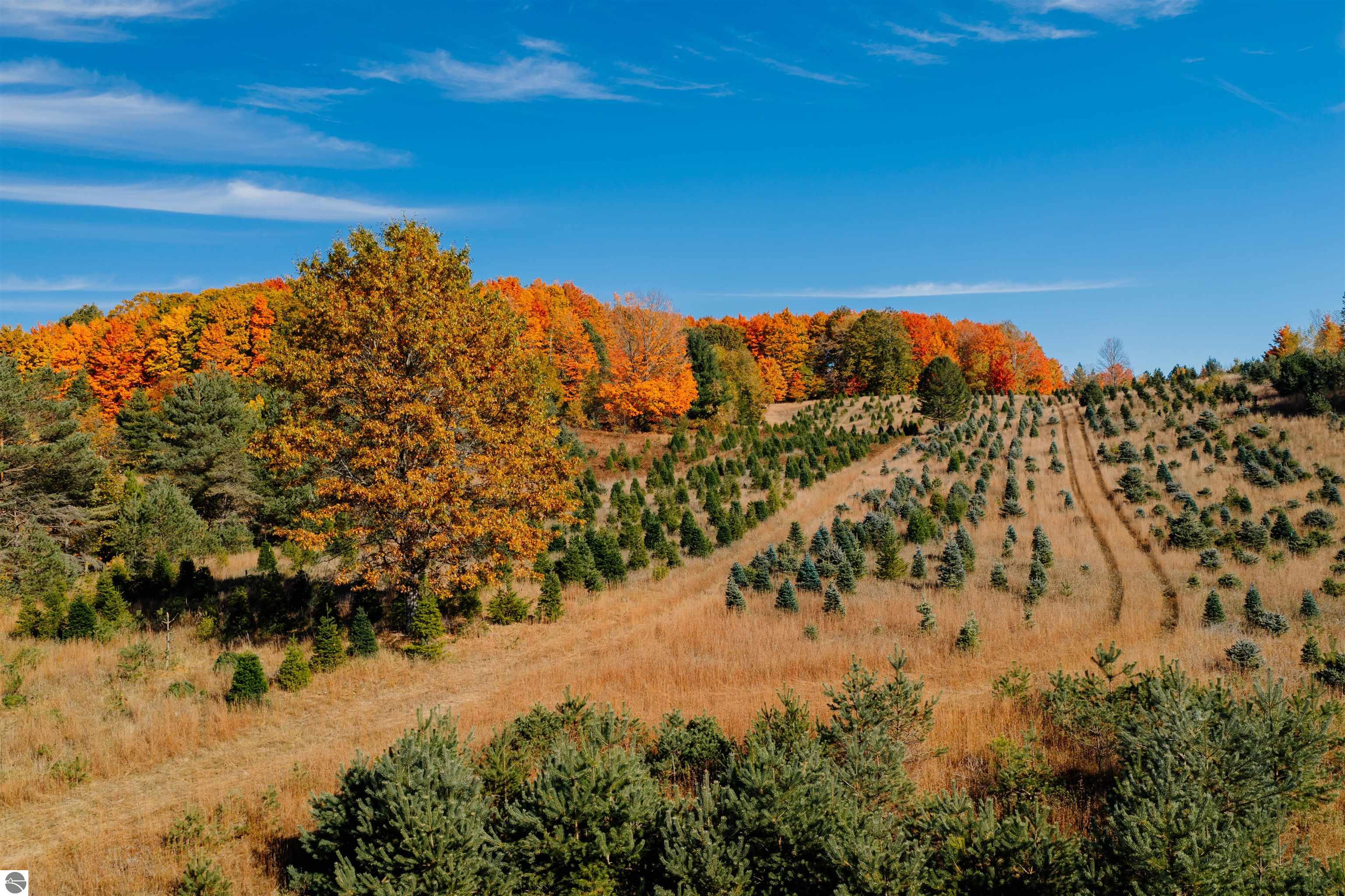 00 SW Sperry Road, Fife Lake