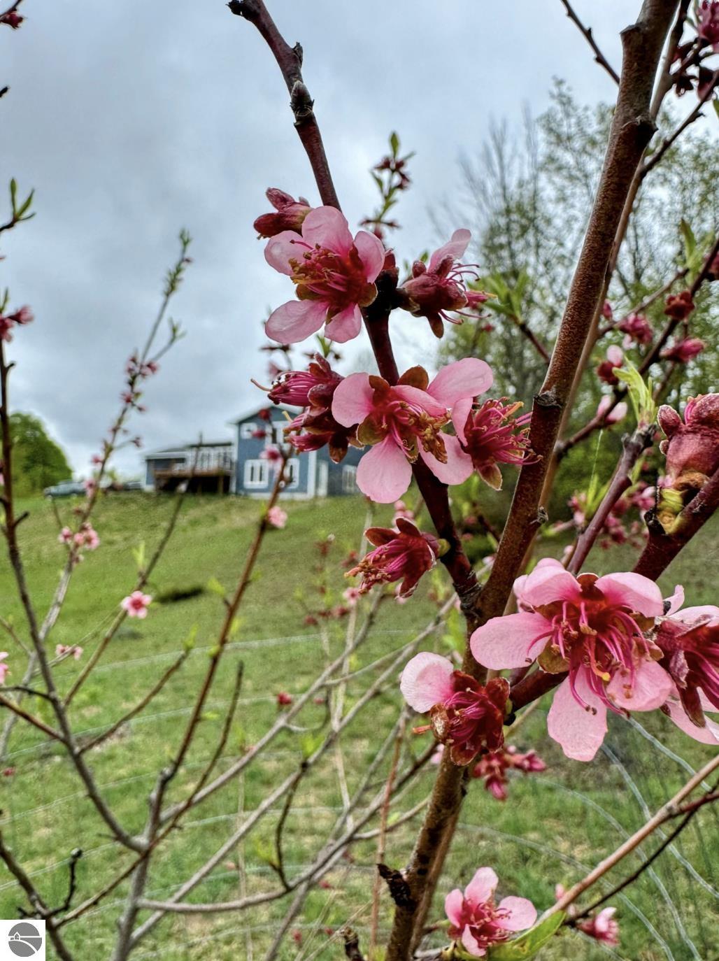 5964 Deer Trail Drive