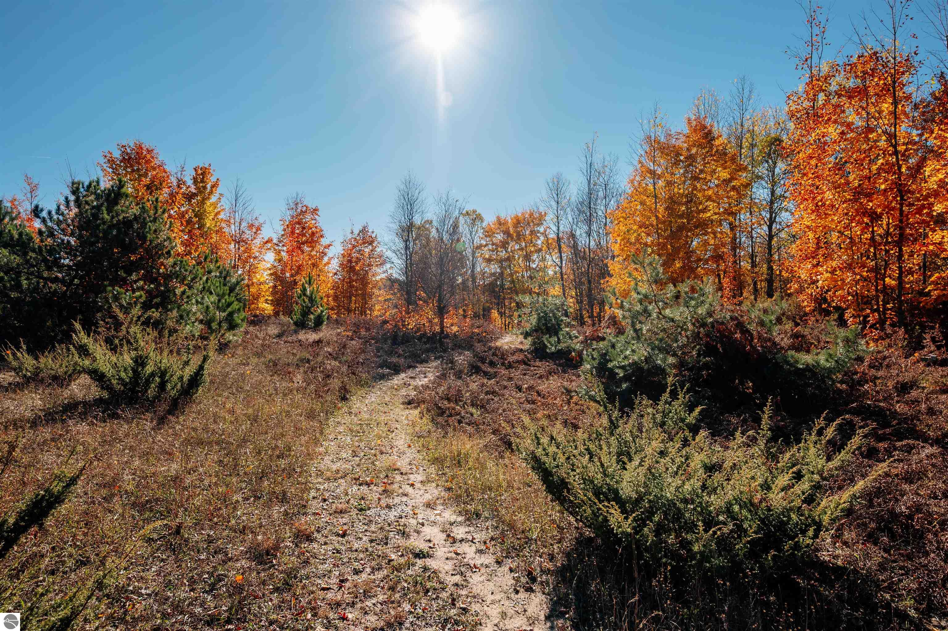 5964 Deer Trail Drive