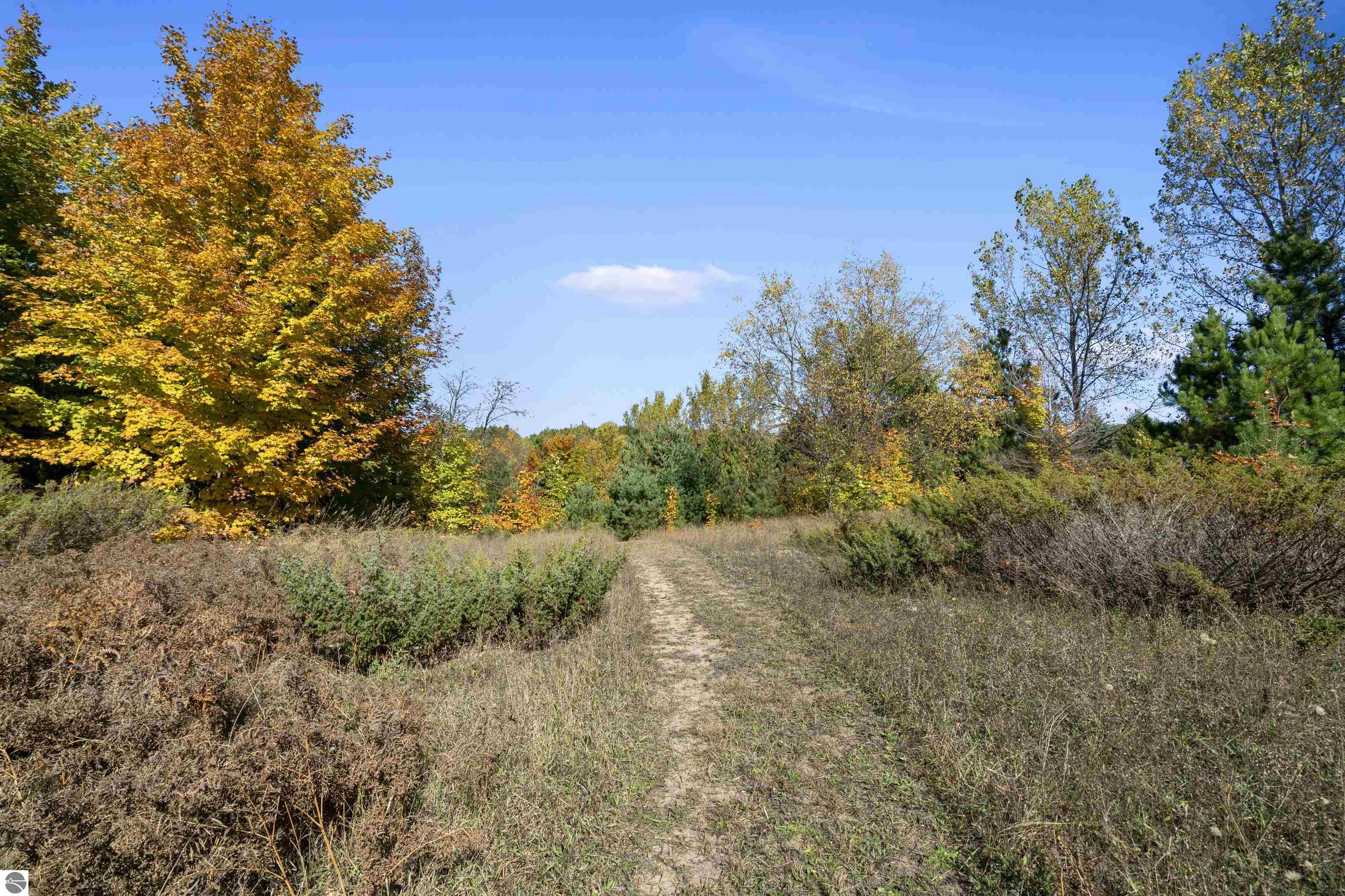 5964 Deer Trail Drive