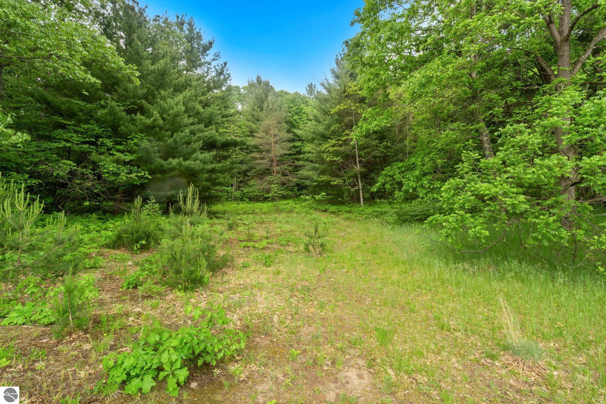 12270 Griffith Road