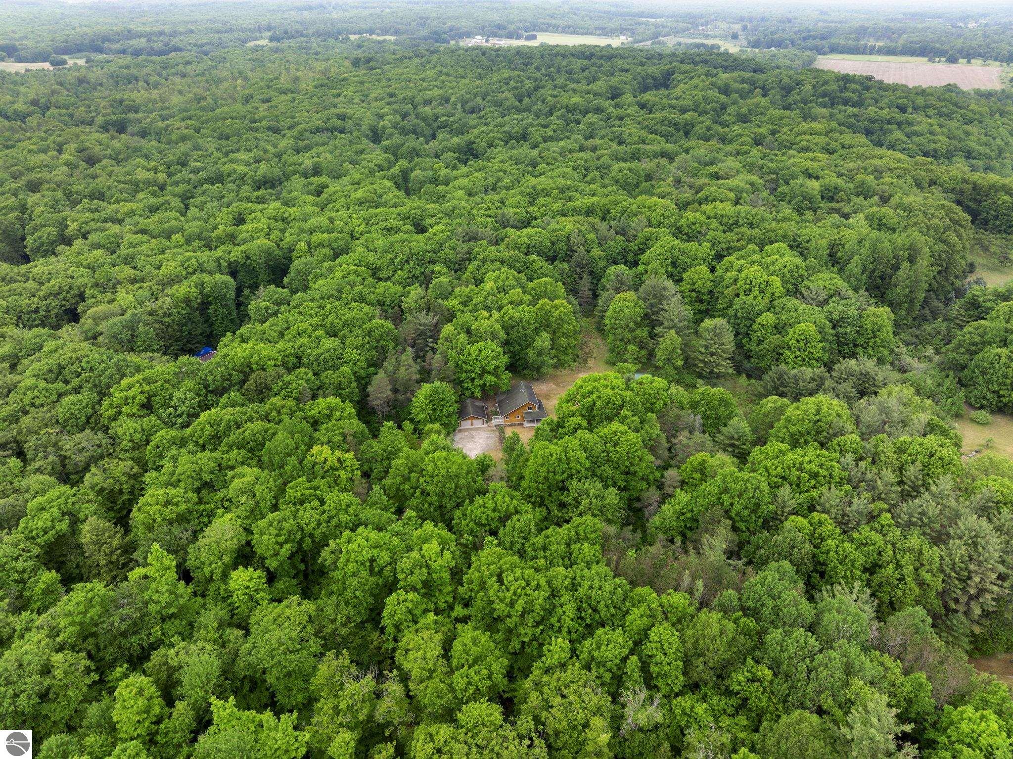 12270 Griffith Road