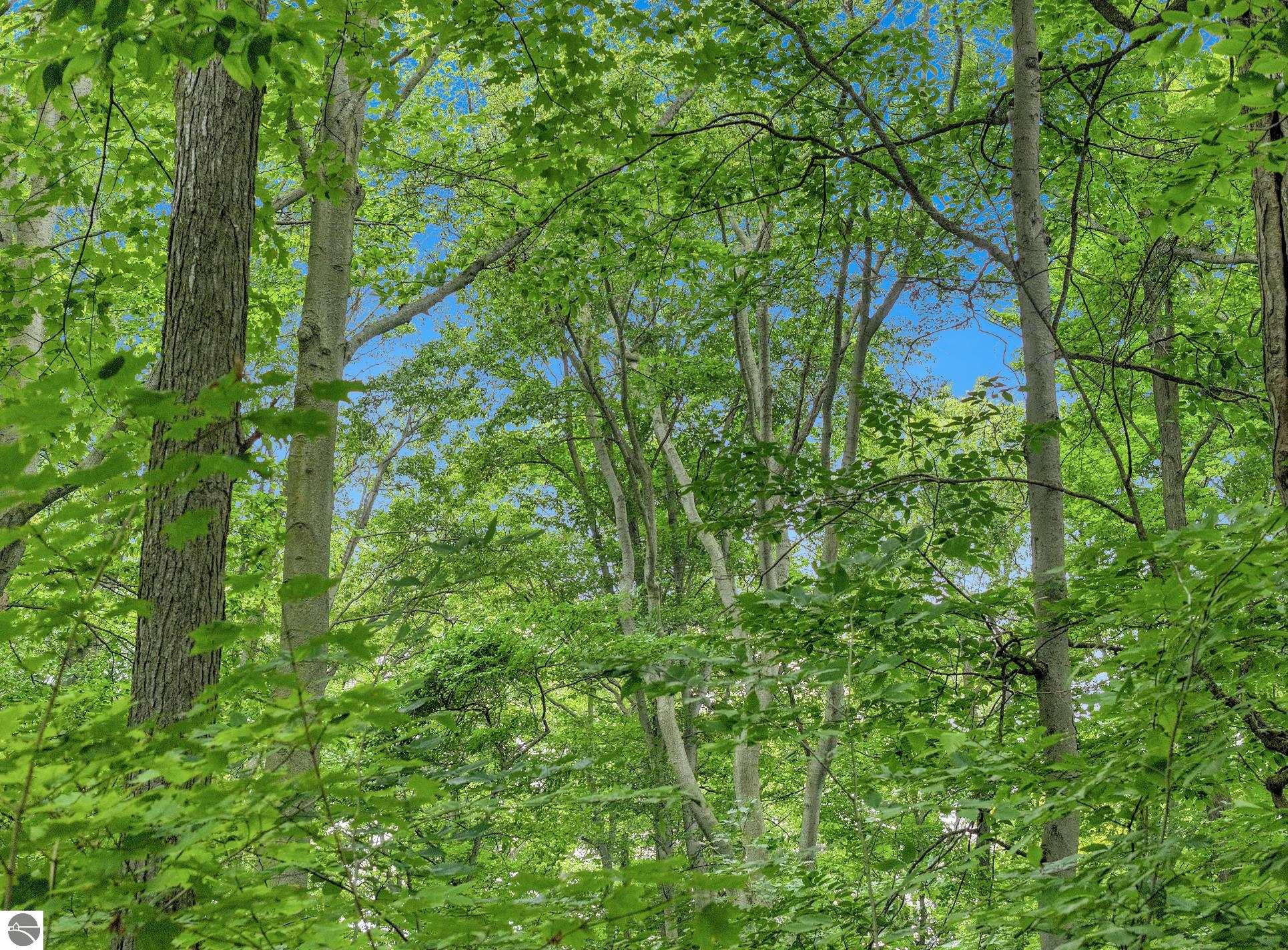 5400 Wild Berry Trail