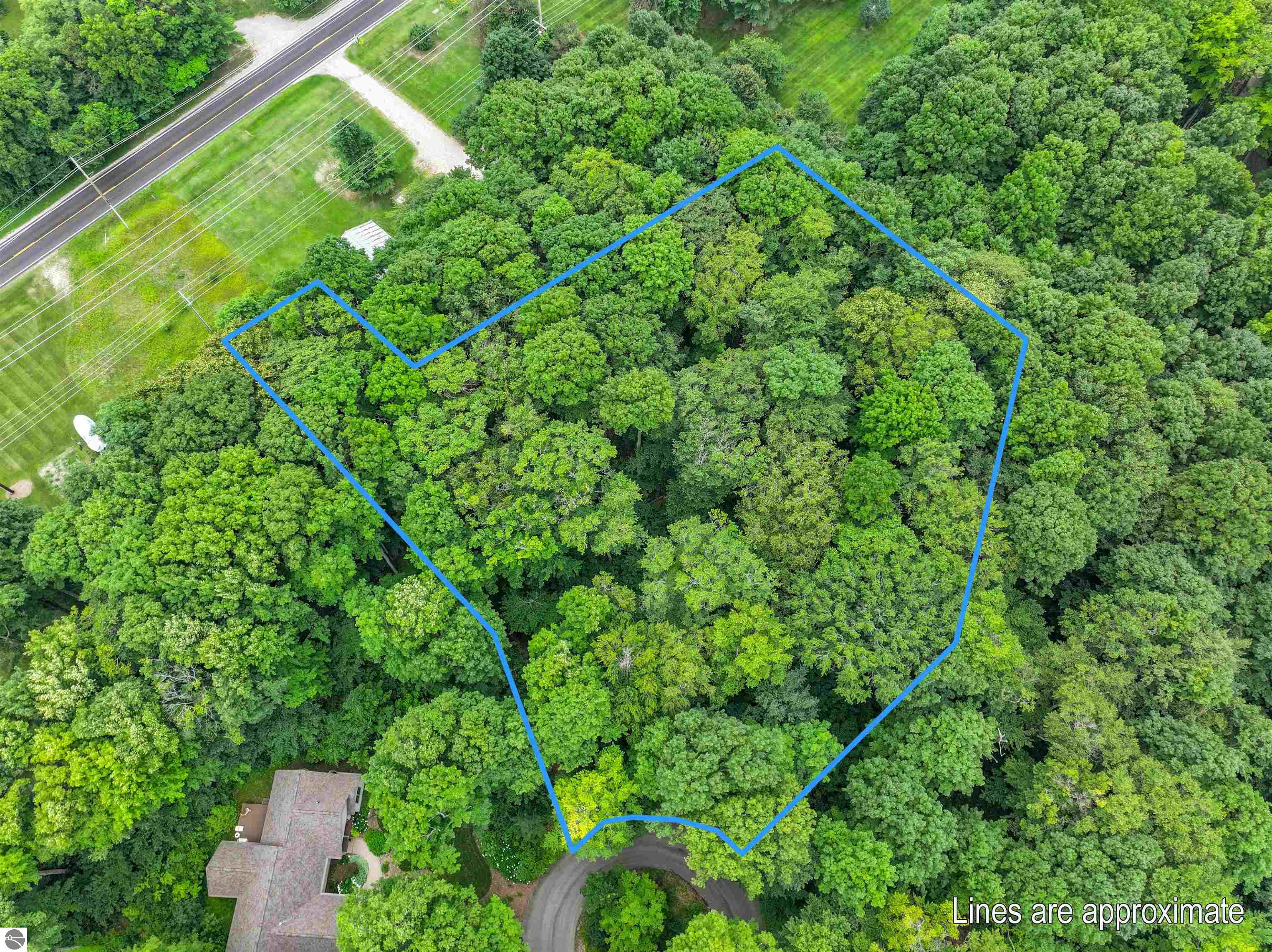 5400 Wild Berry Trail