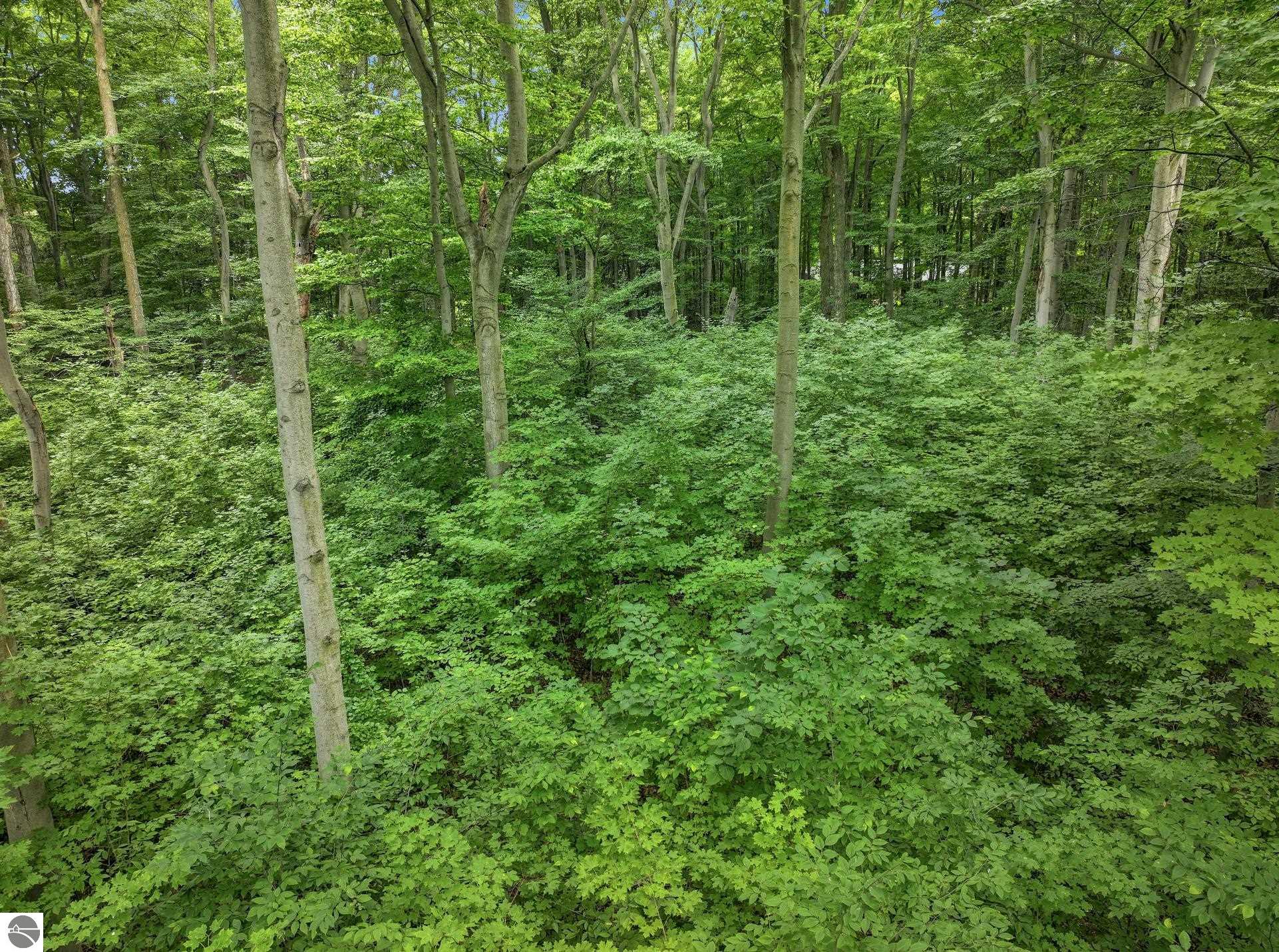 5400 Wild Berry Trail