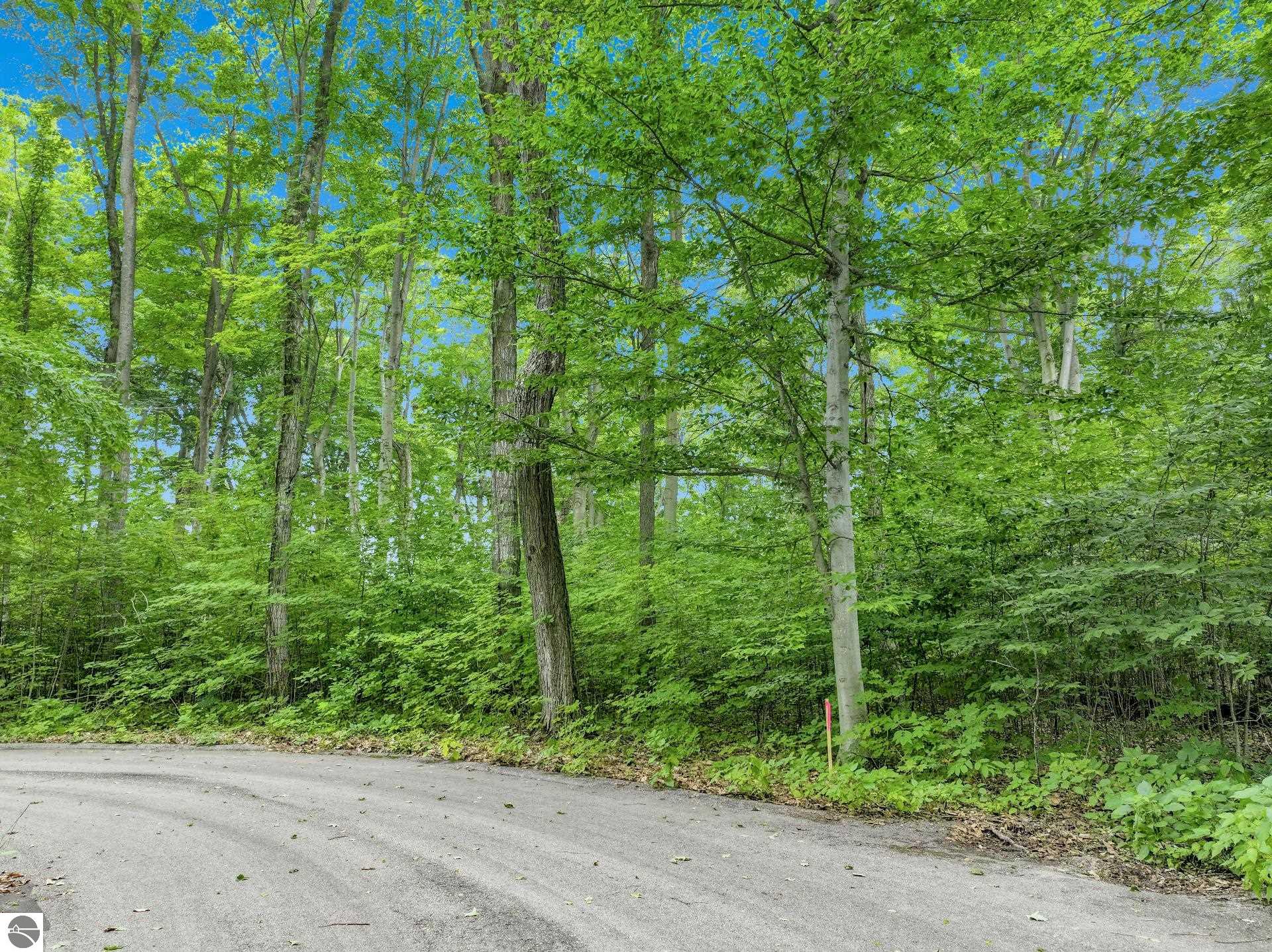 5400 Wild Berry Trail