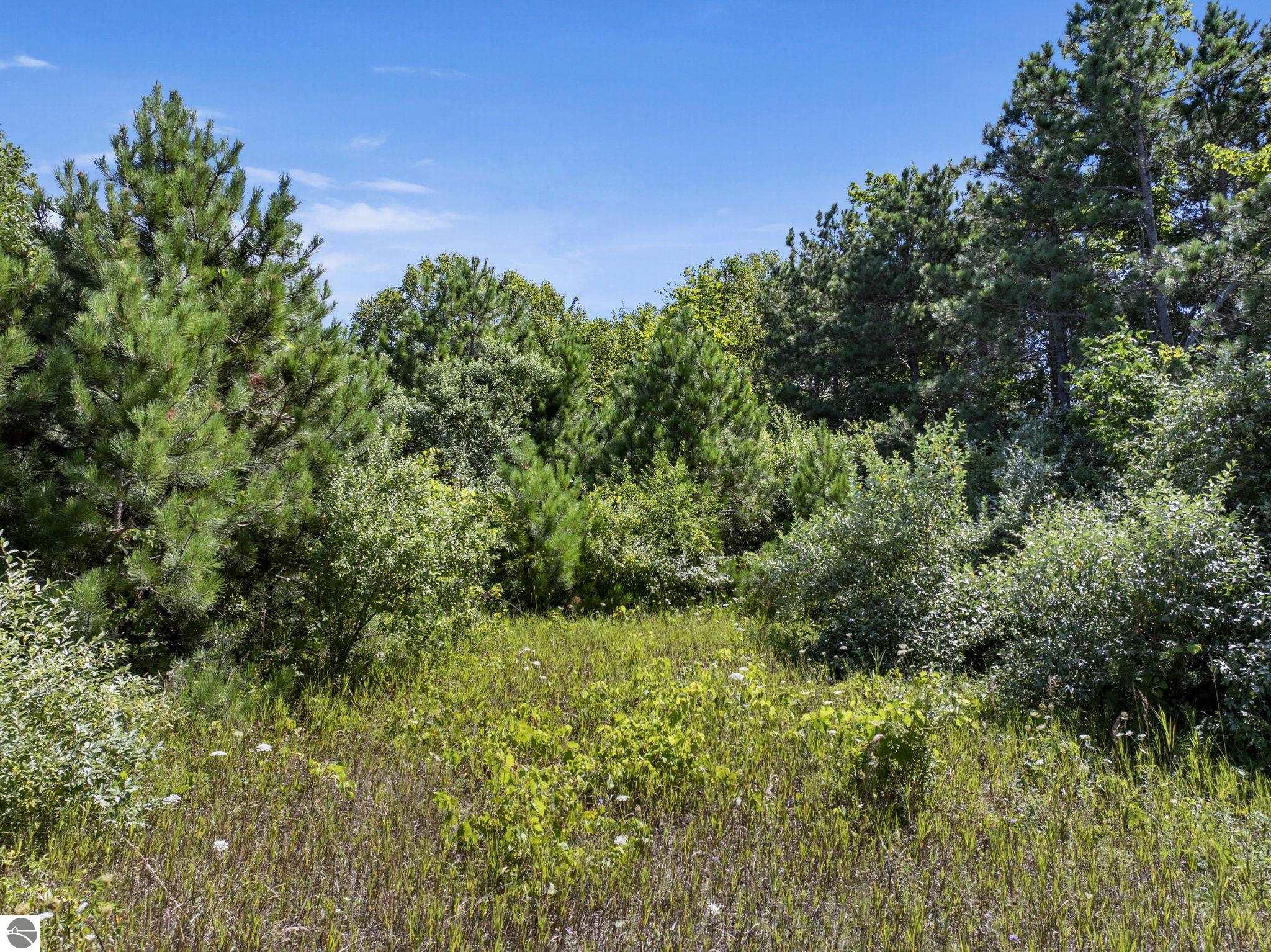 Lot 40 N Shores Court