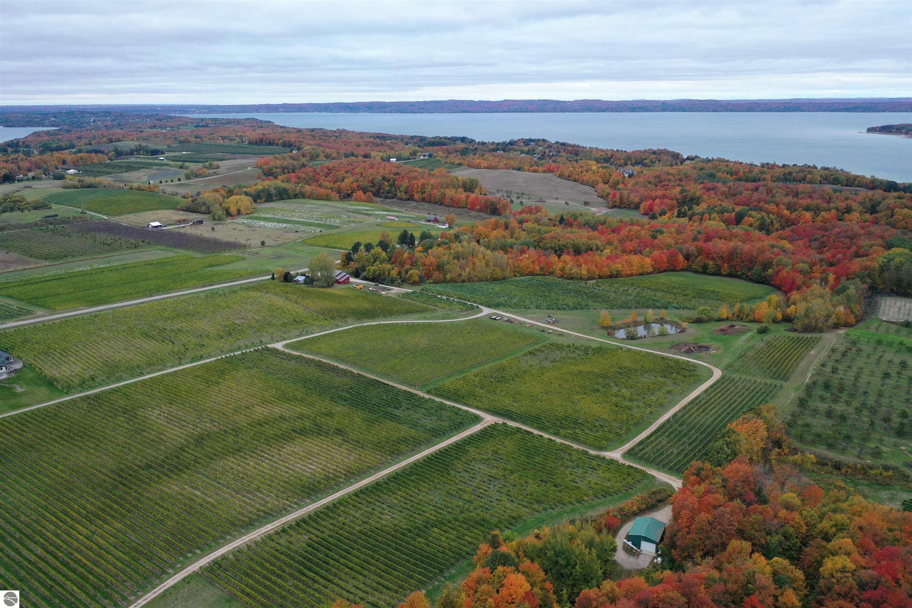 12335 Center Road
