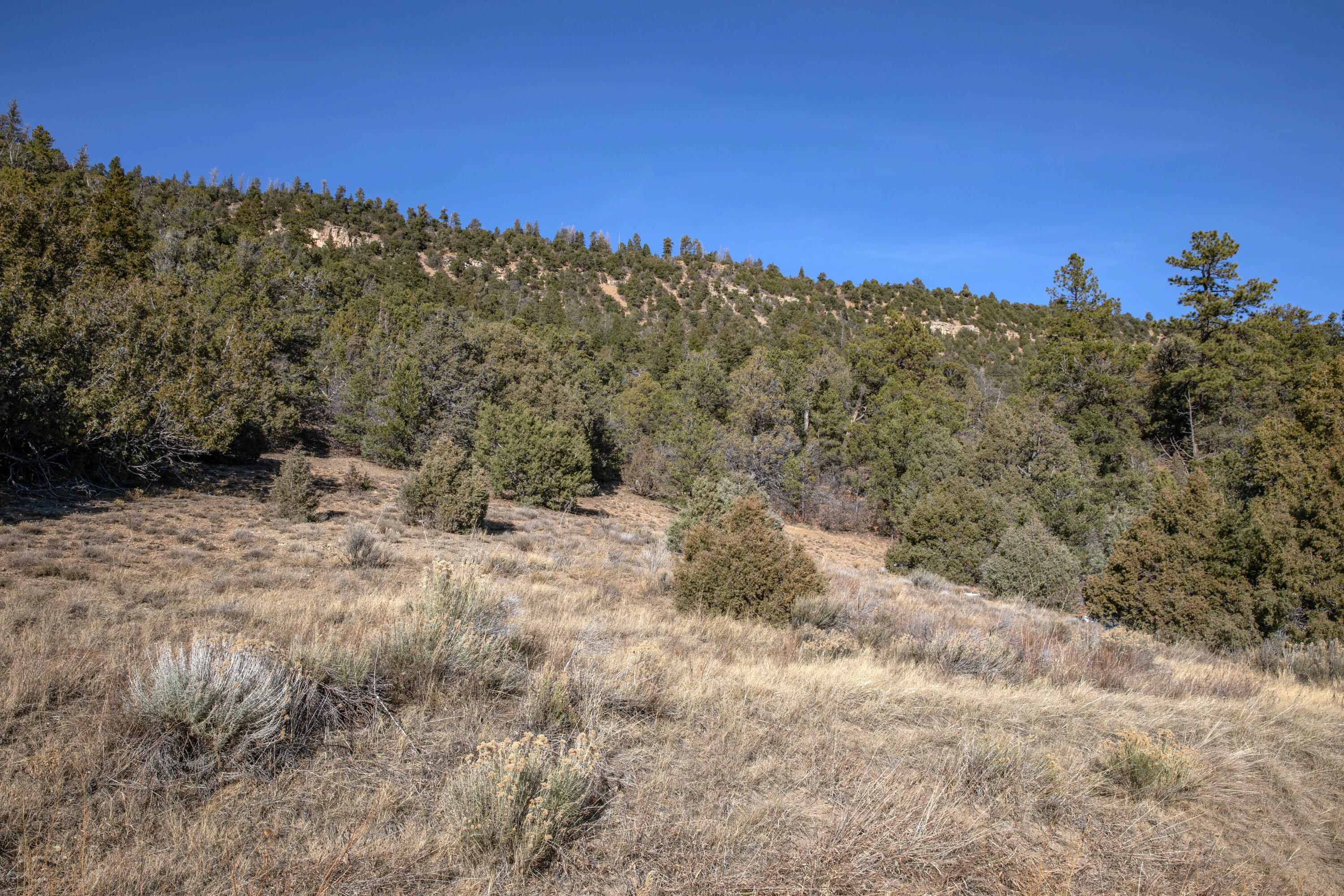 TBD Tract 7 Old Relay Road