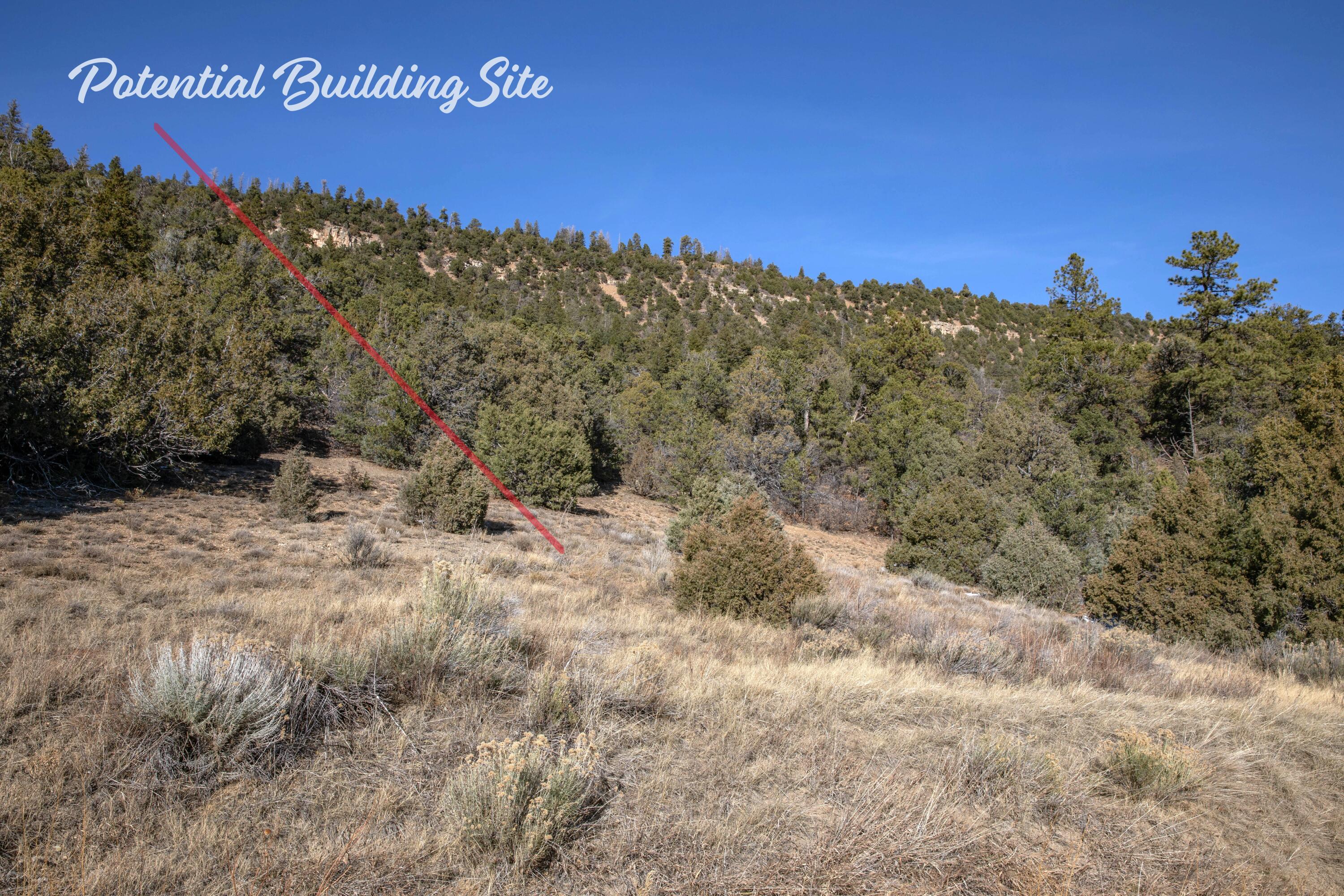 TBD Tract 7 Old Relay Road