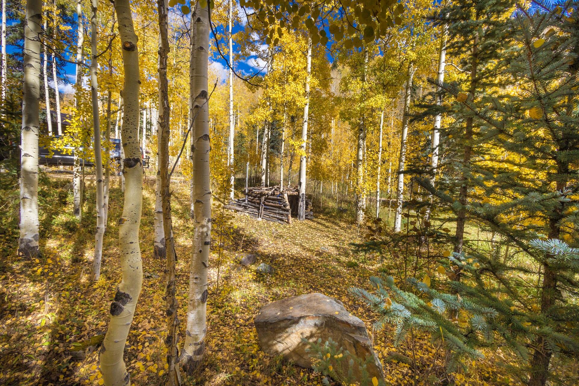 TBD Silverglance Way