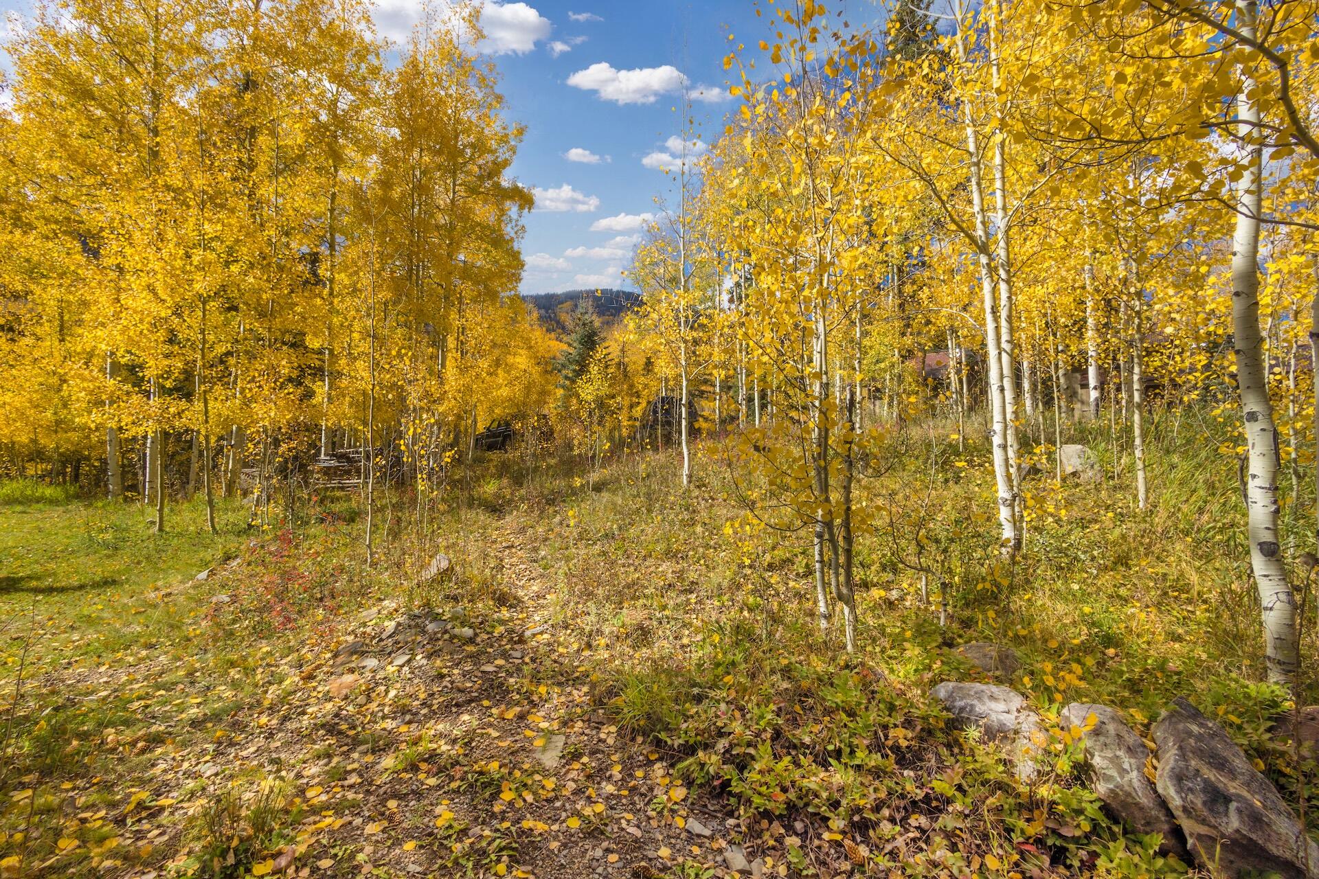 TBD Silverglance Way