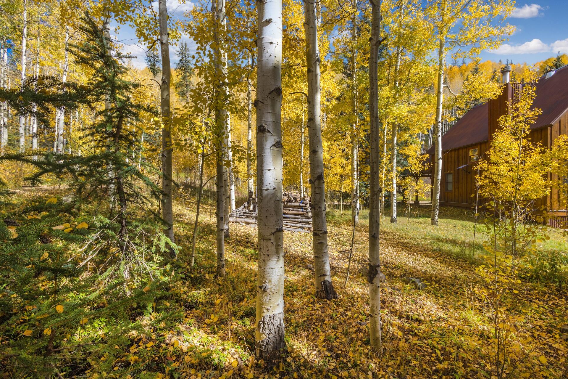 TBD Silverglance Way