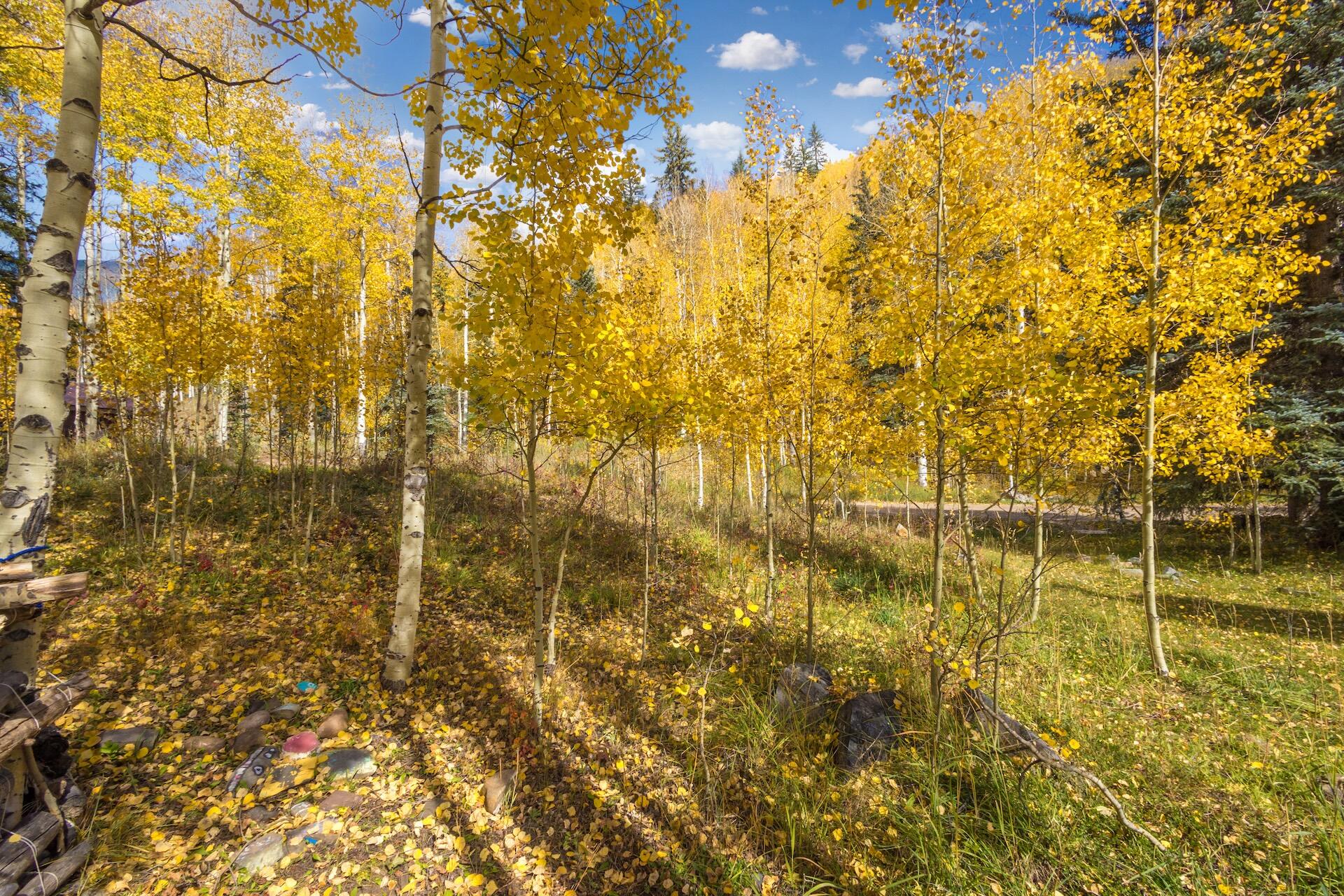 TBD Silverglance Way