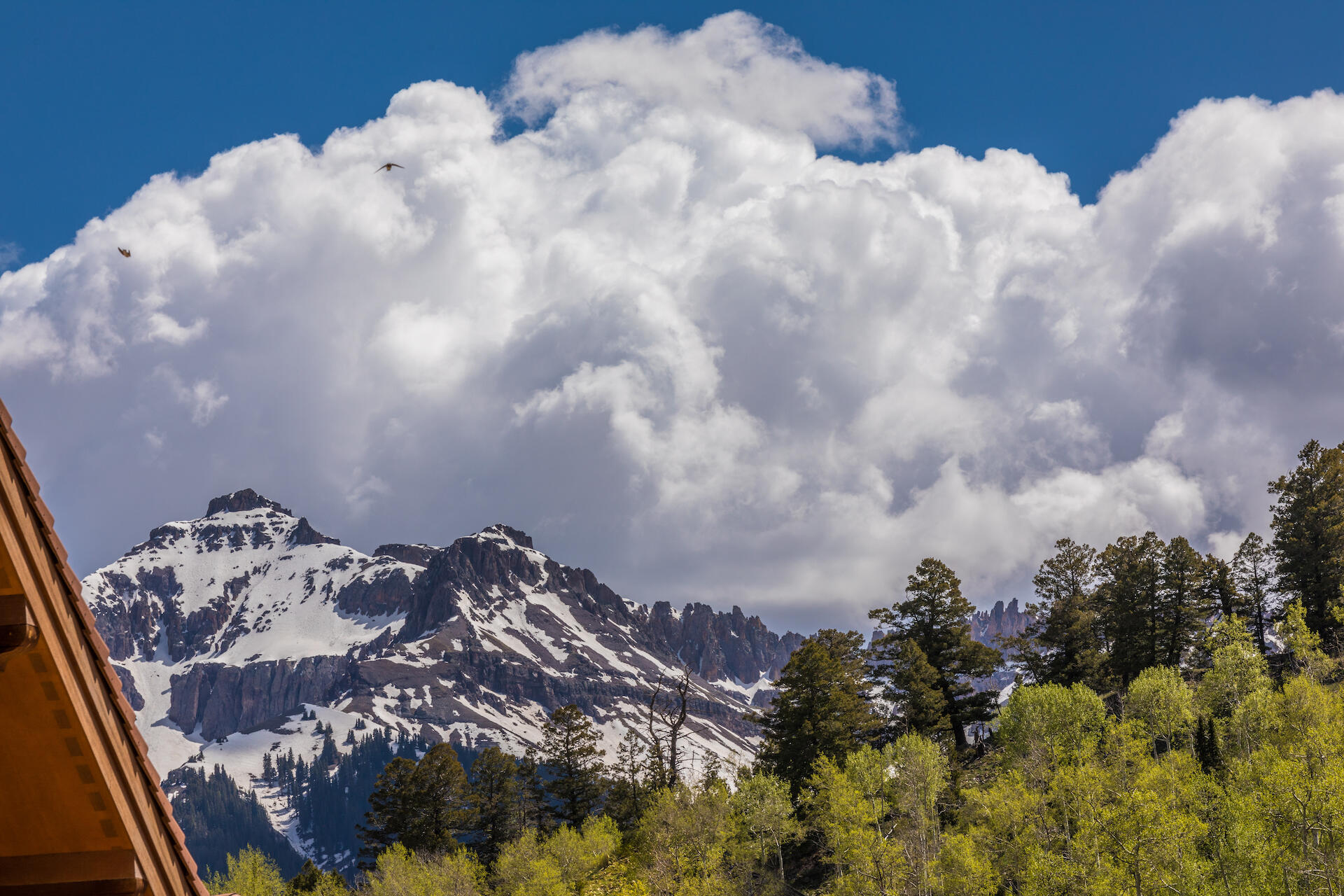 568 Mountain Village Boulevard