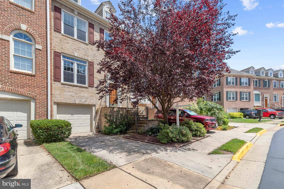 3903 BARCROFT MEWS COURT