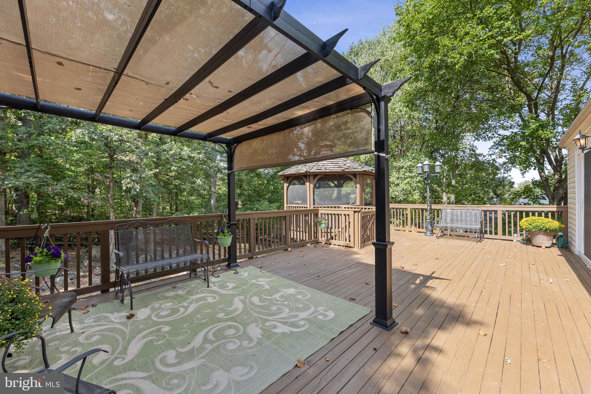 15246 LOUIS MILL DRIVE