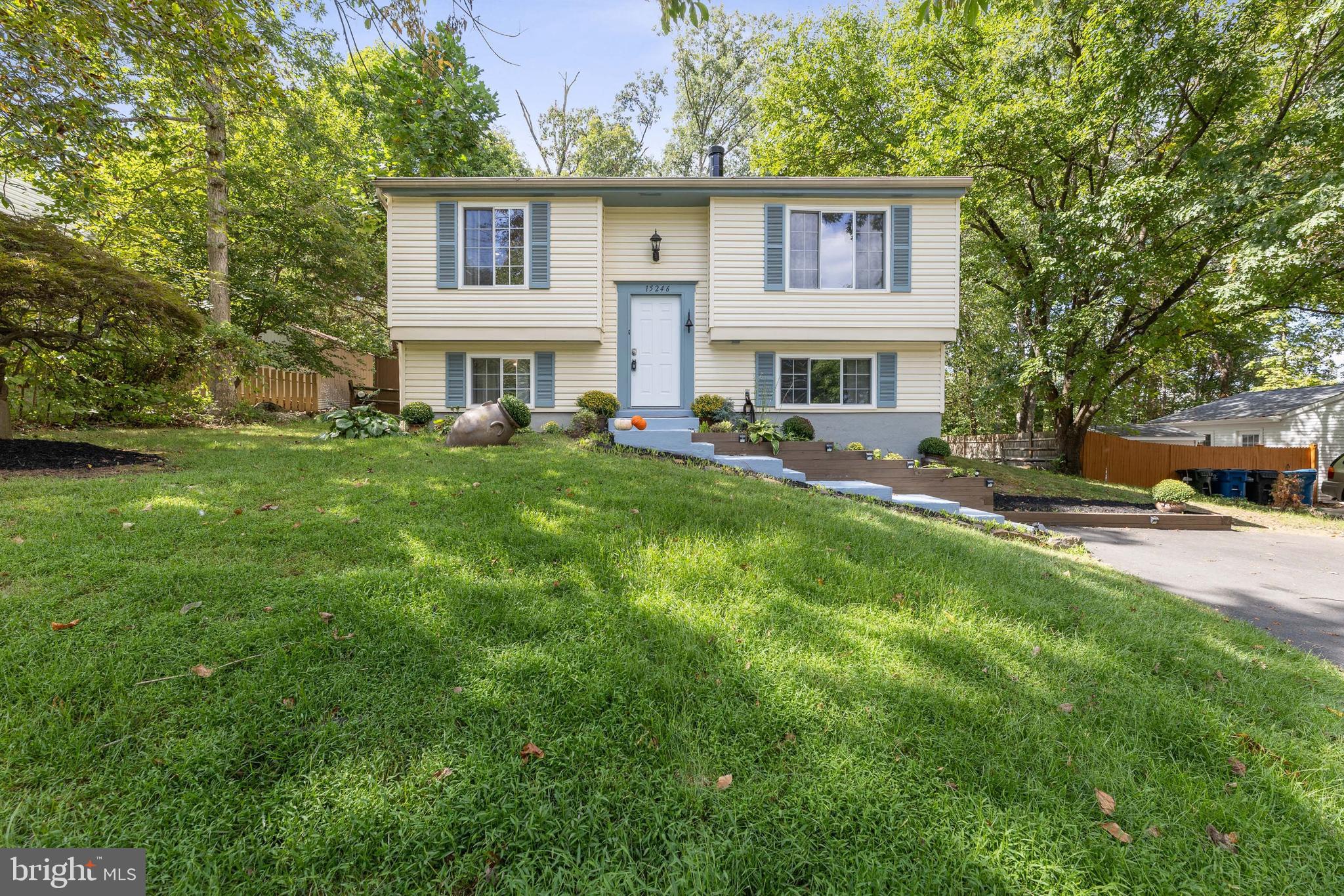 15246 LOUIS MILL DRIVE