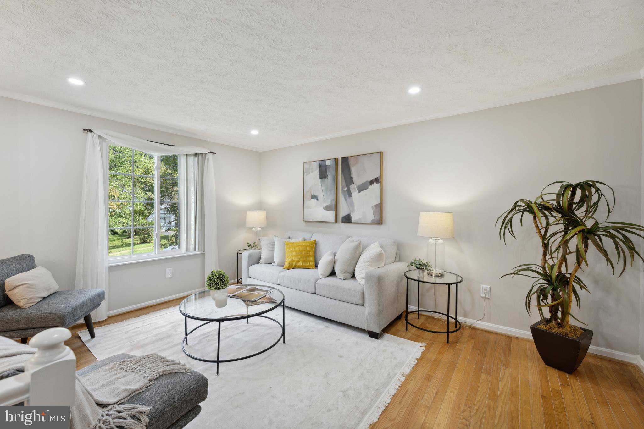 15246 LOUIS MILL DRIVE