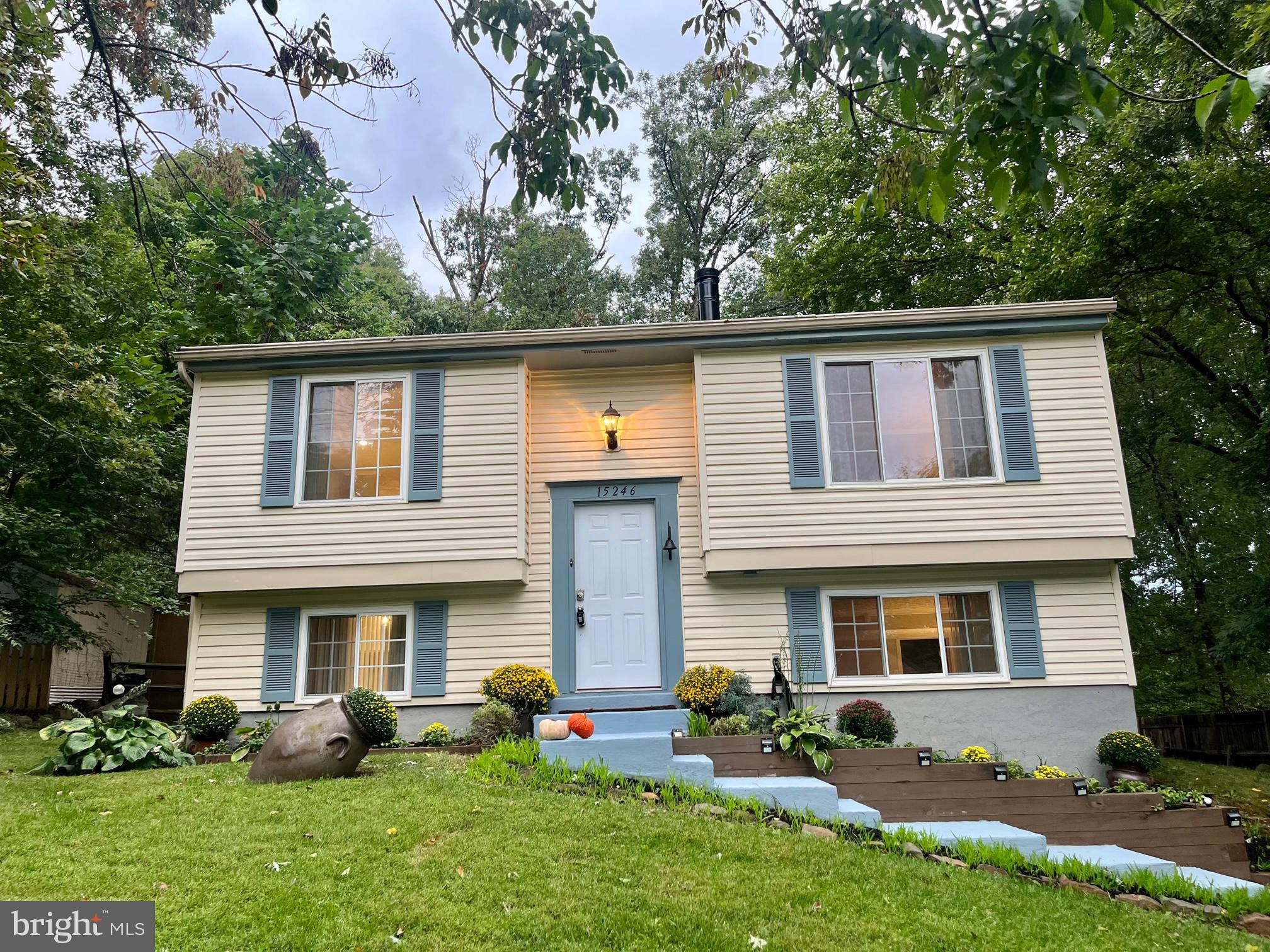 15246 LOUIS MILL DRIVE