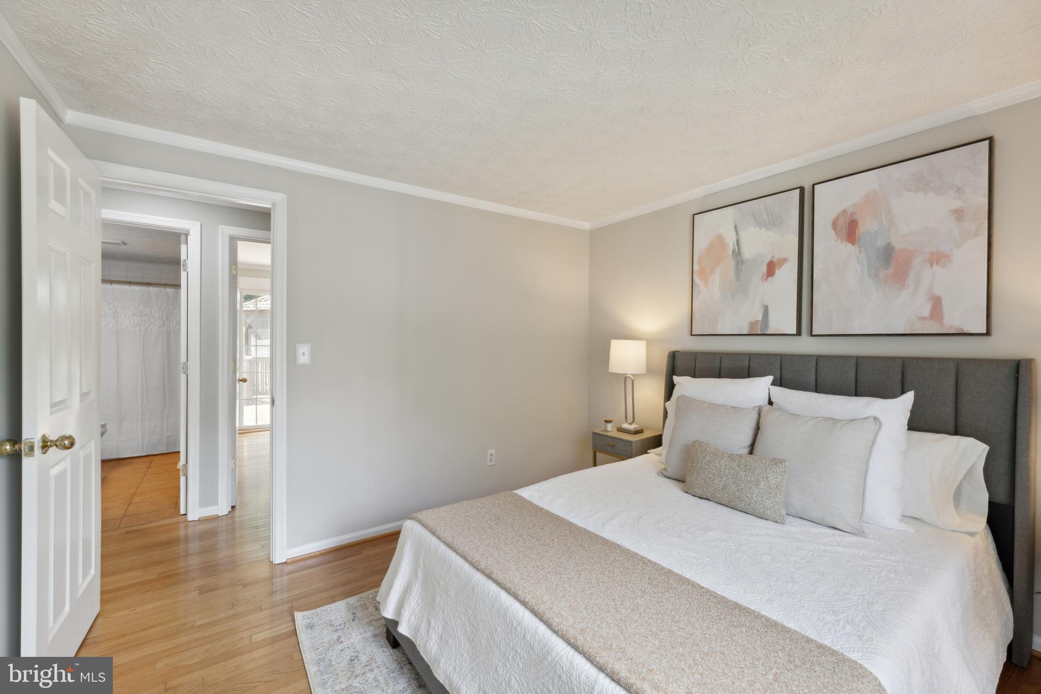 15246 LOUIS MILL DRIVE