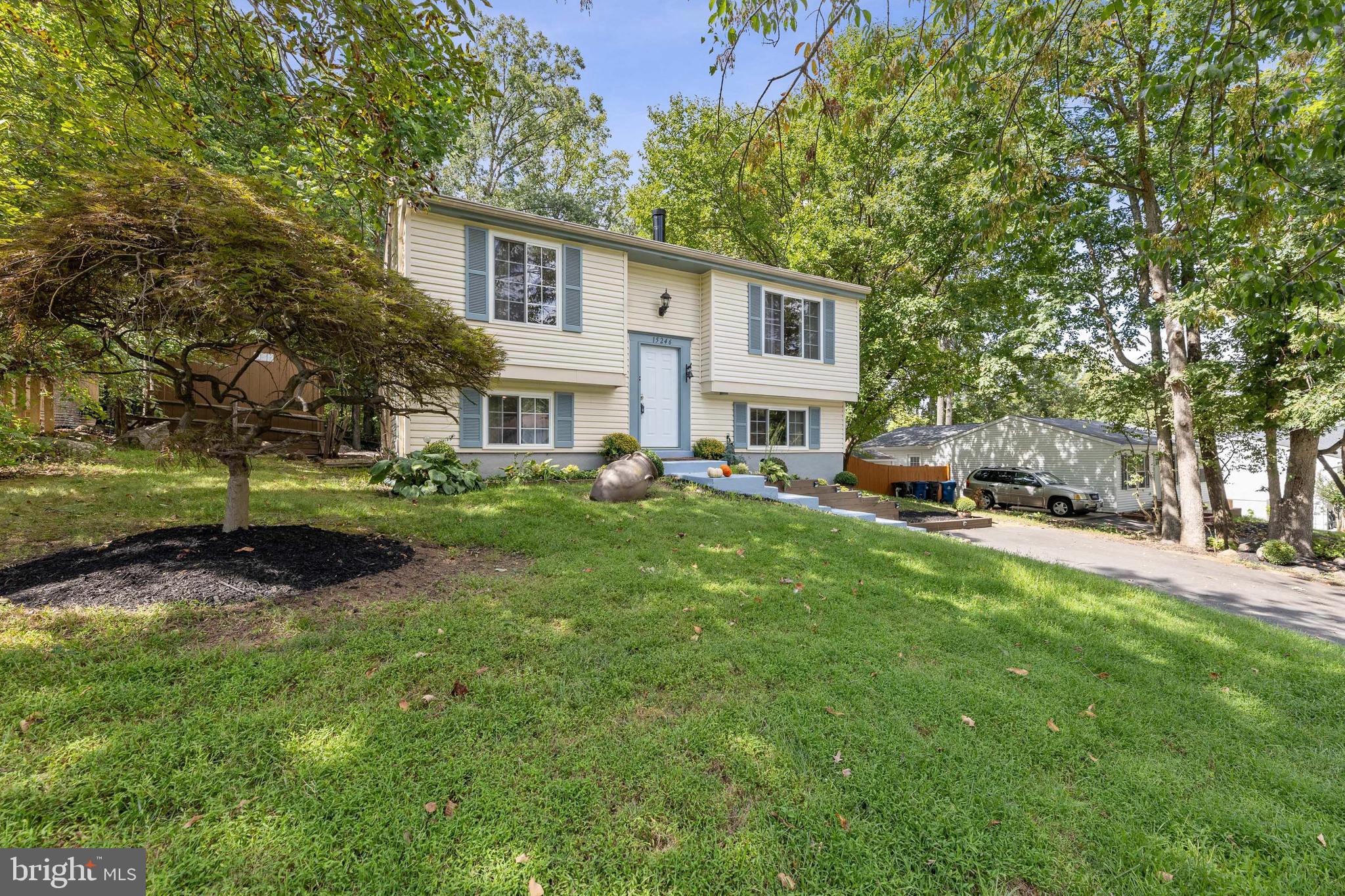 15246 LOUIS MILL DRIVE
