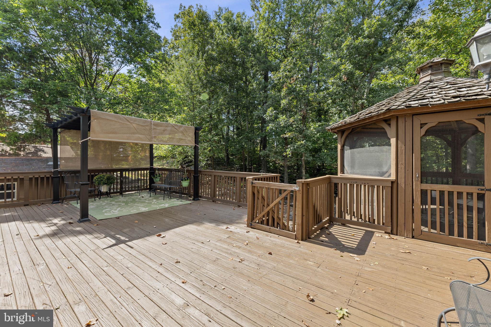 15246 LOUIS MILL DRIVE