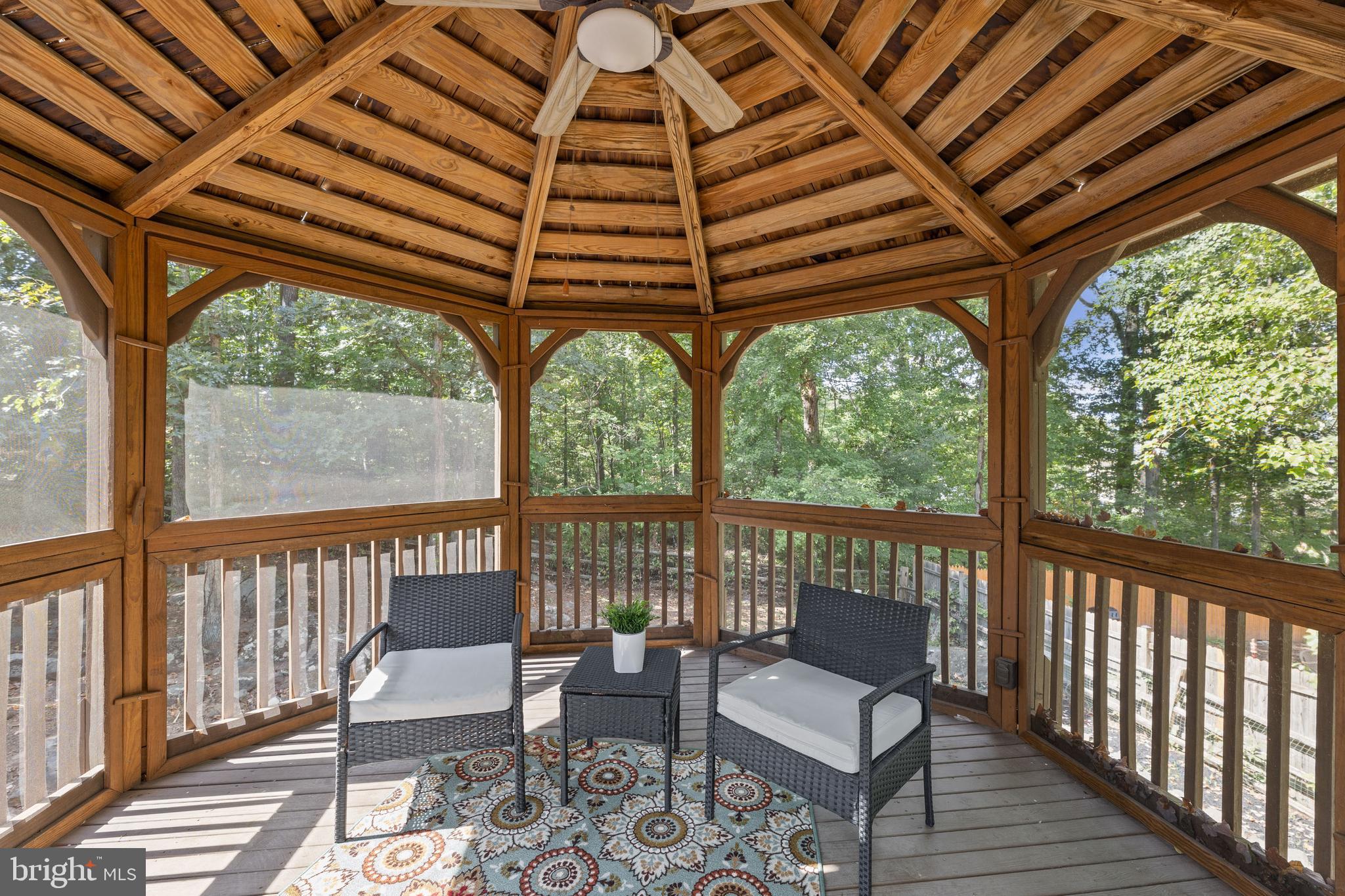 15246 LOUIS MILL DRIVE