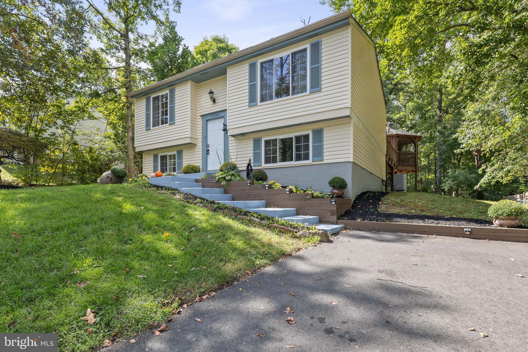 15246 LOUIS MILL DRIVE