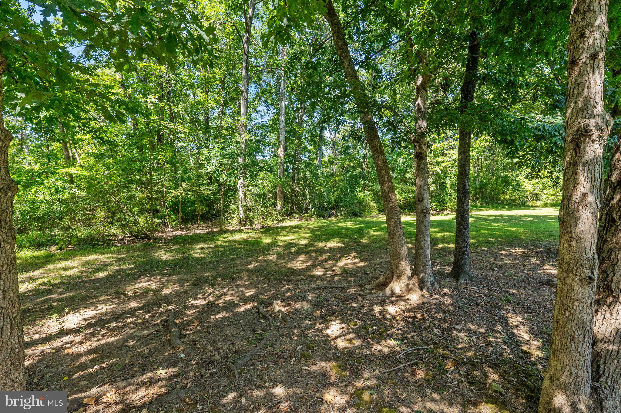 8132 TALL TIMBER DRIVE