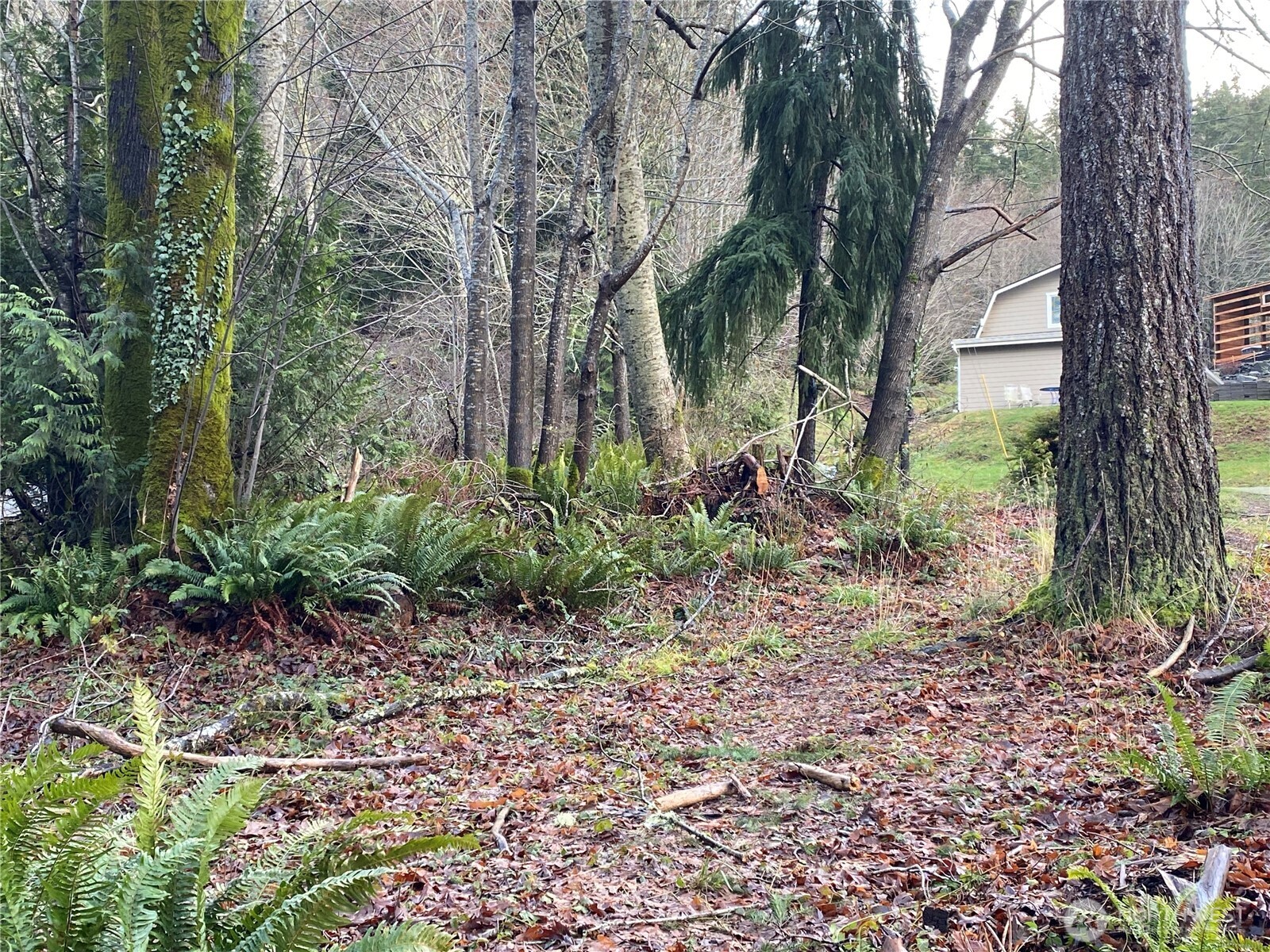 1925 Summit Lake Shore Road NW