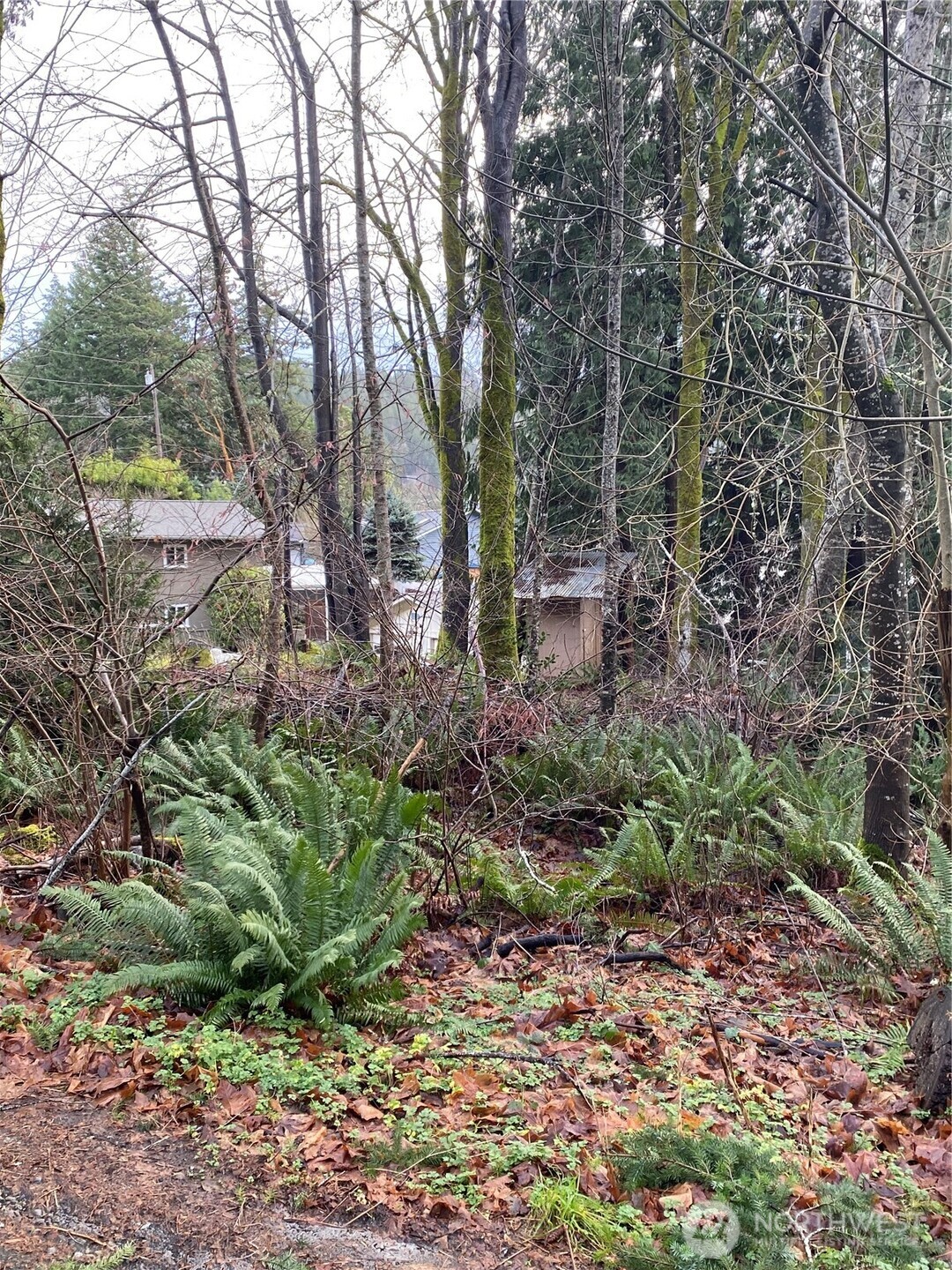 1925 Summit Lake Shore Road NW