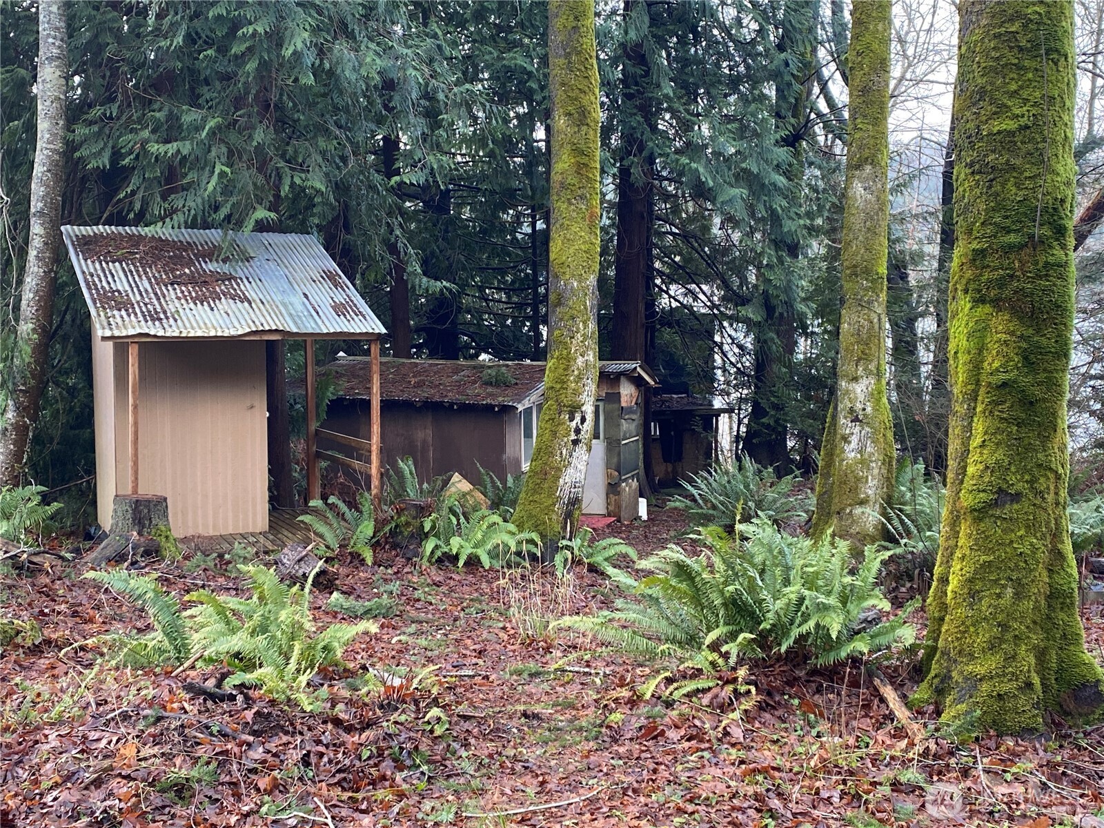 1925 Summit Lake Shore Road NW