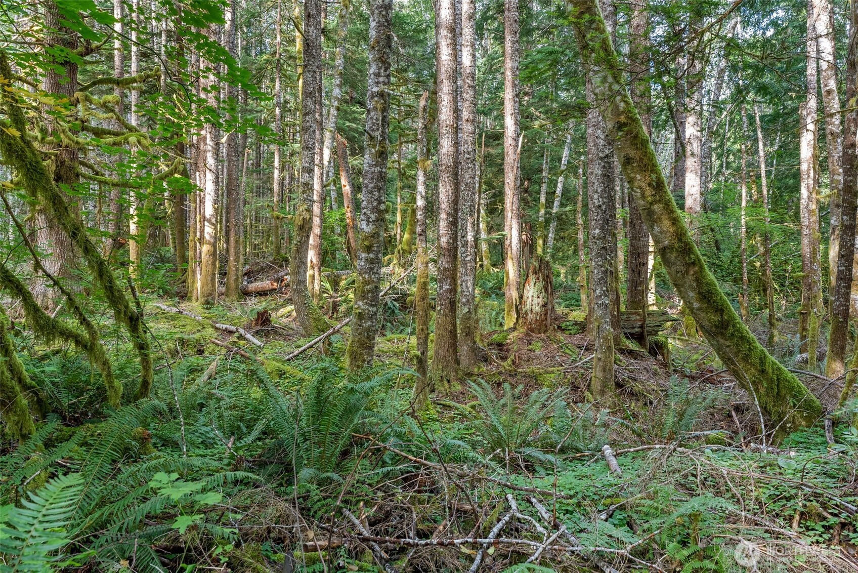 1 Skate Creek Road N